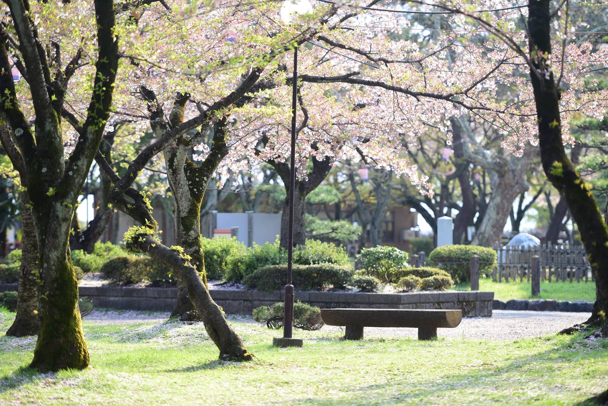 32130711_1970135373315451_1833620065212170240_o