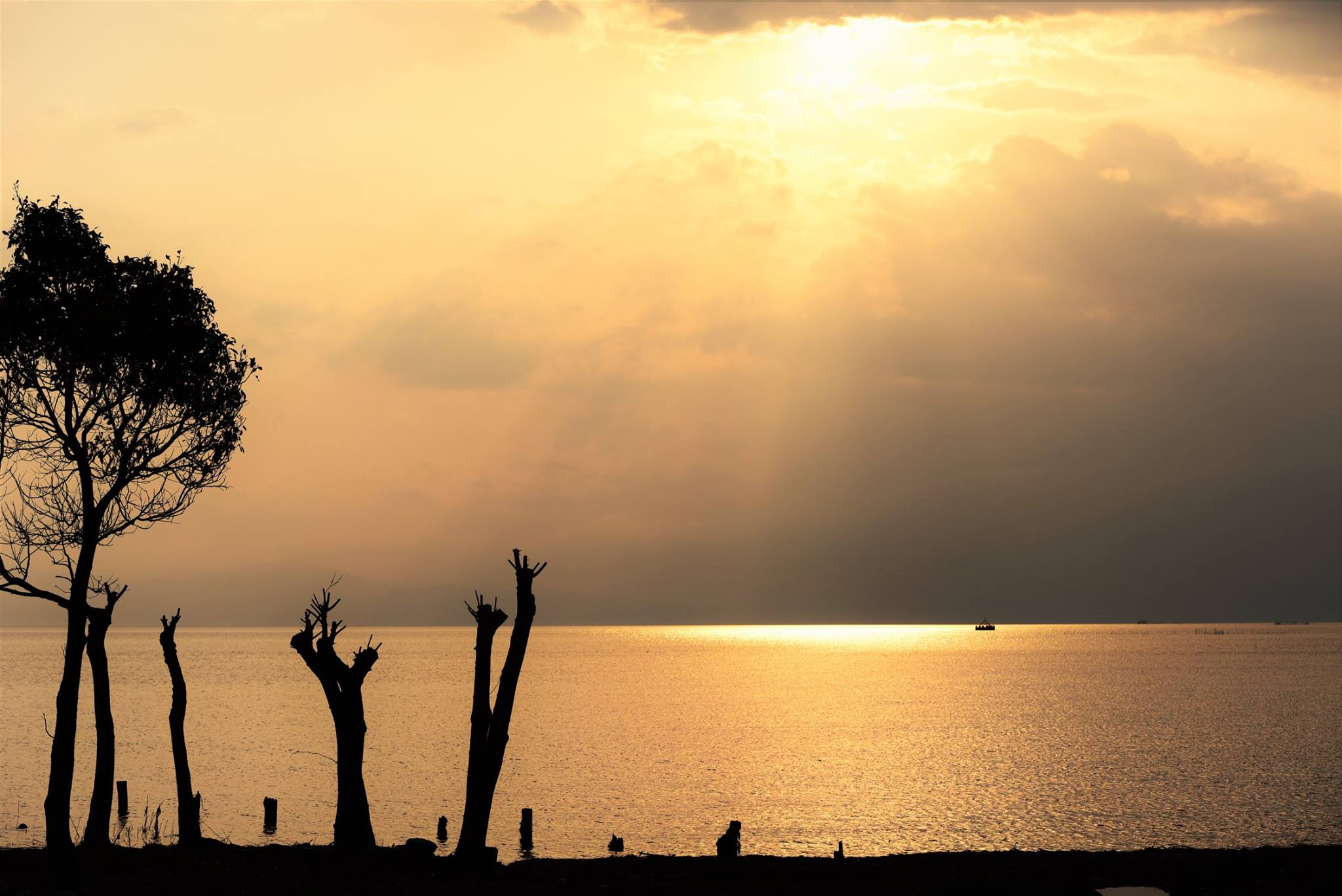 32149208_1970136273315361_3514602082260746240_o