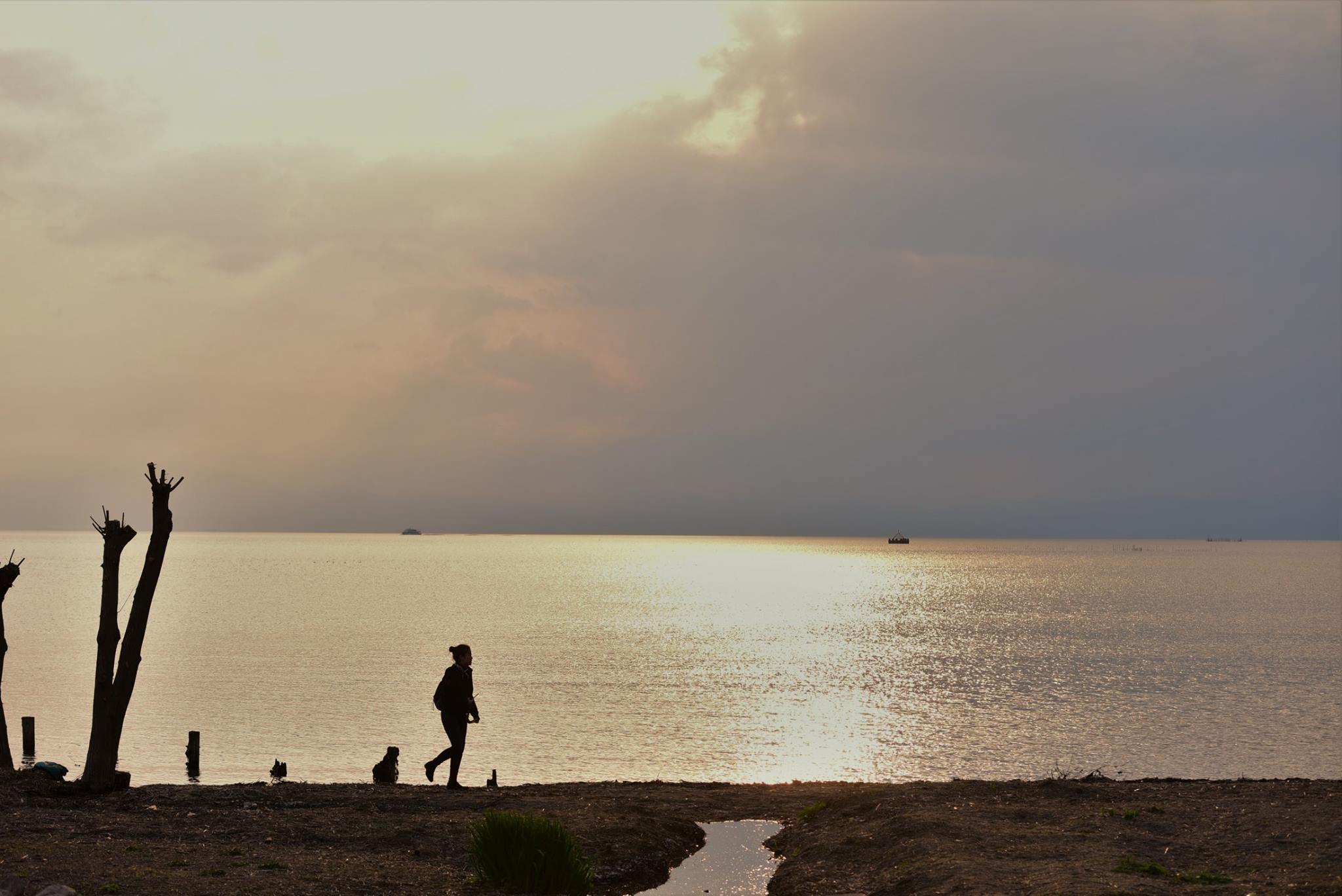 32149311_1970155429980112_6336640387393781760_o (1)