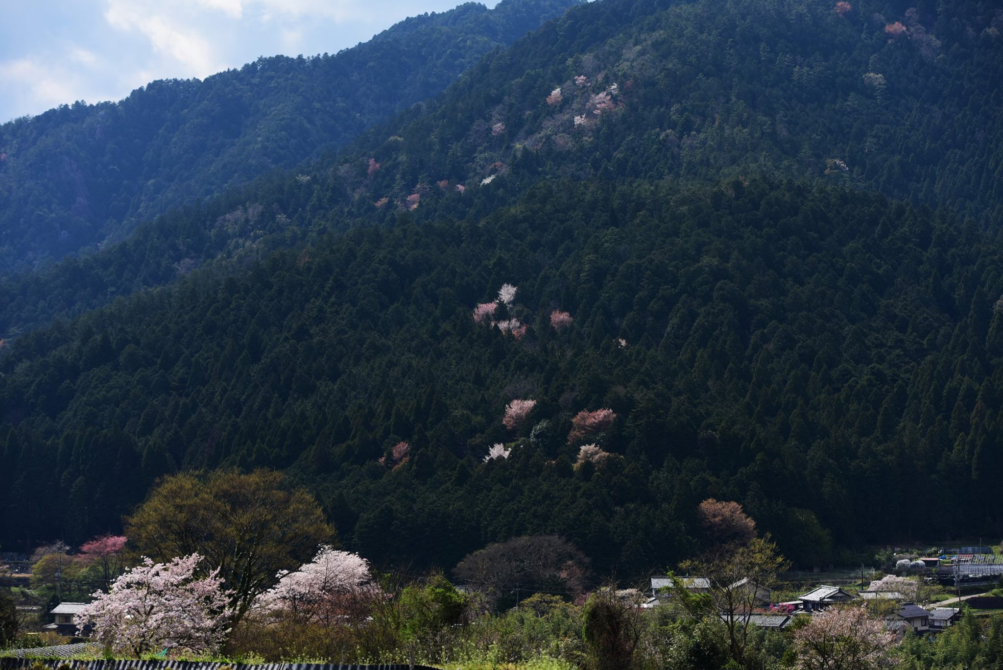 32169421_1969634423365546_8568648734081024_o