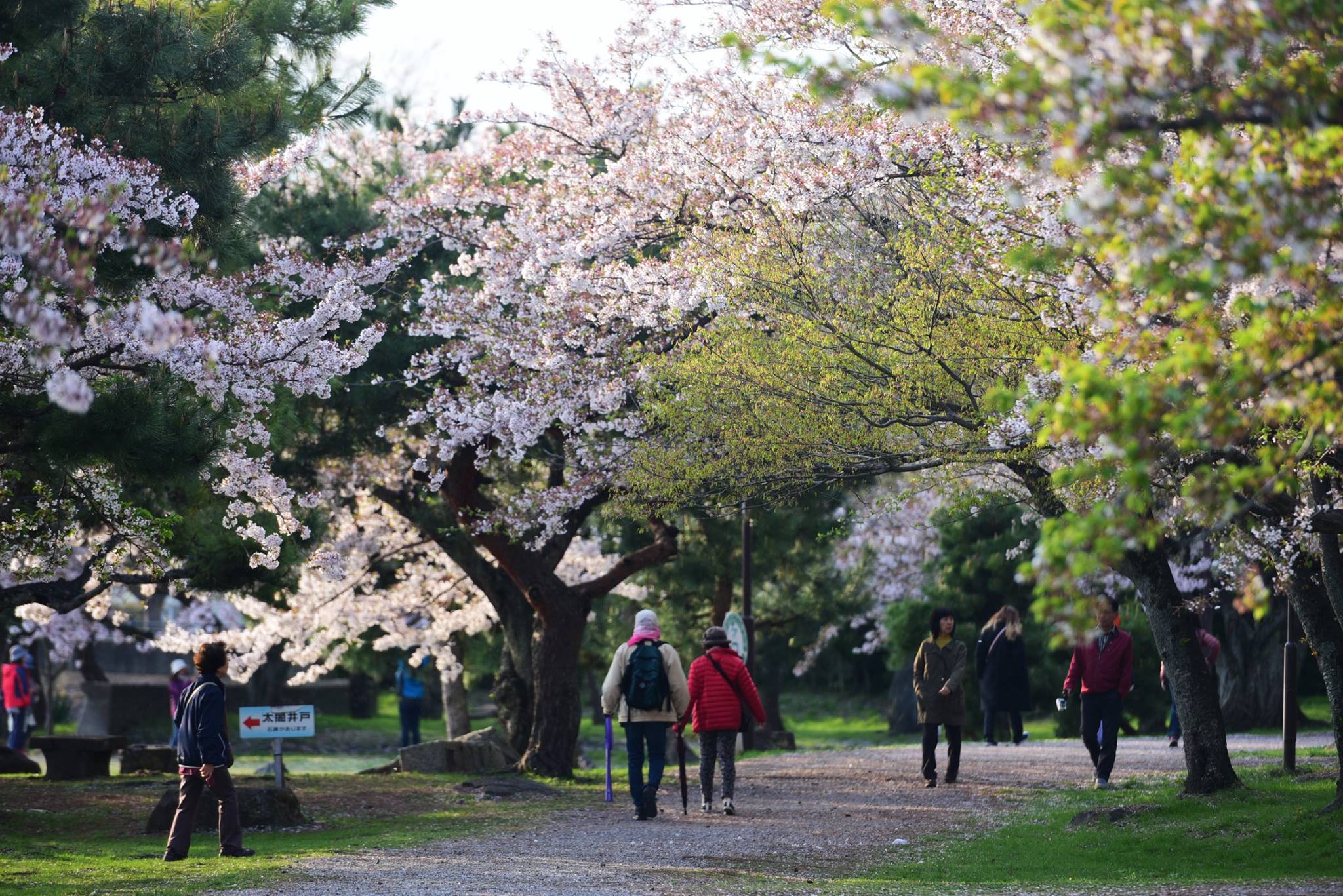 32212777_1970155563313432_4222881299343343616_o