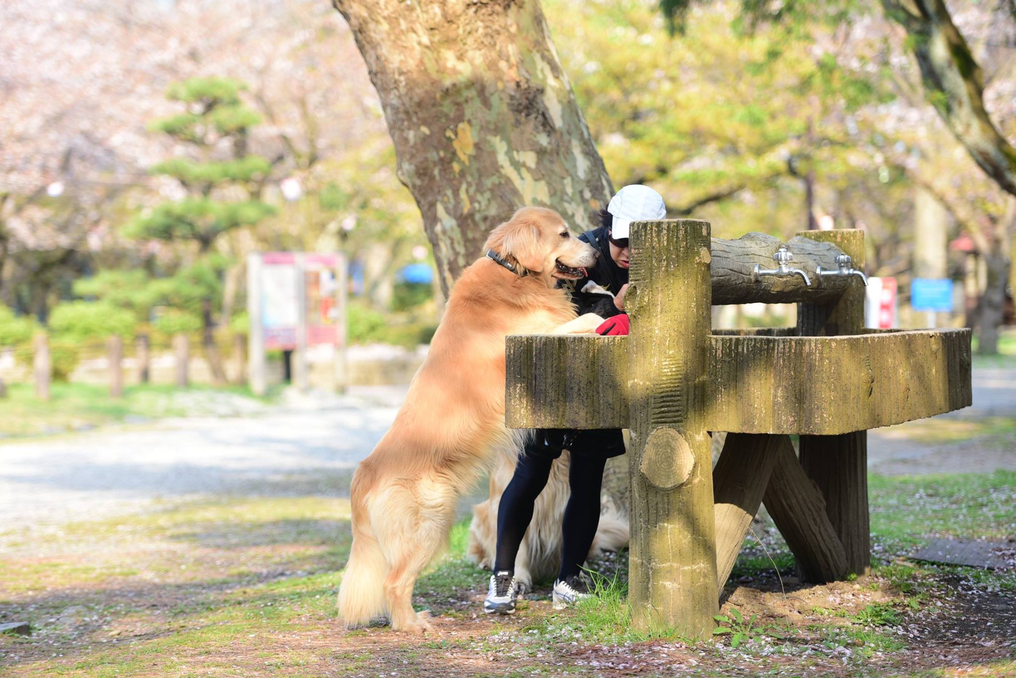 32226918_1970135446648777_714104837708447744_o