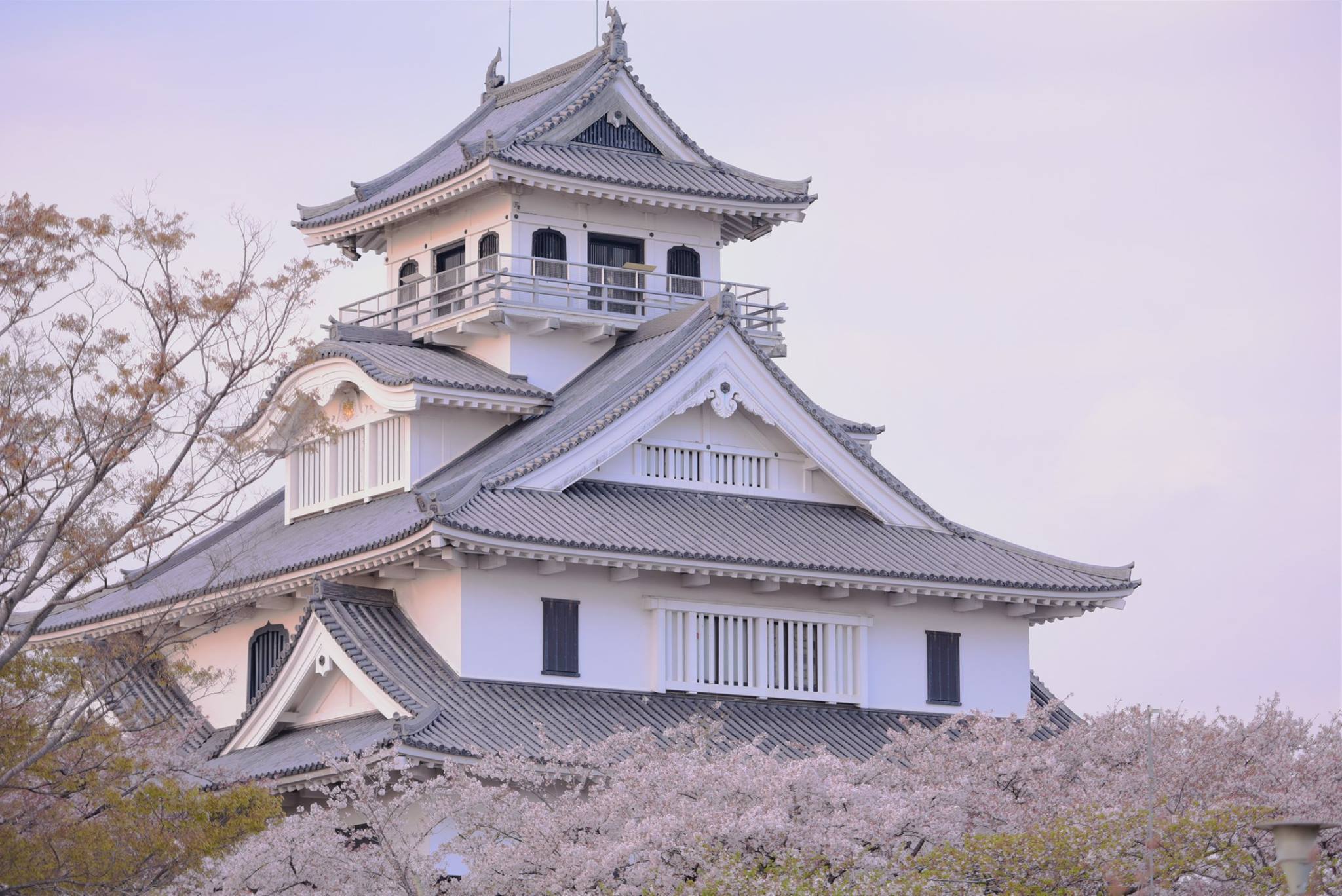 32253819_1970136253315363_6913336740128227328_o