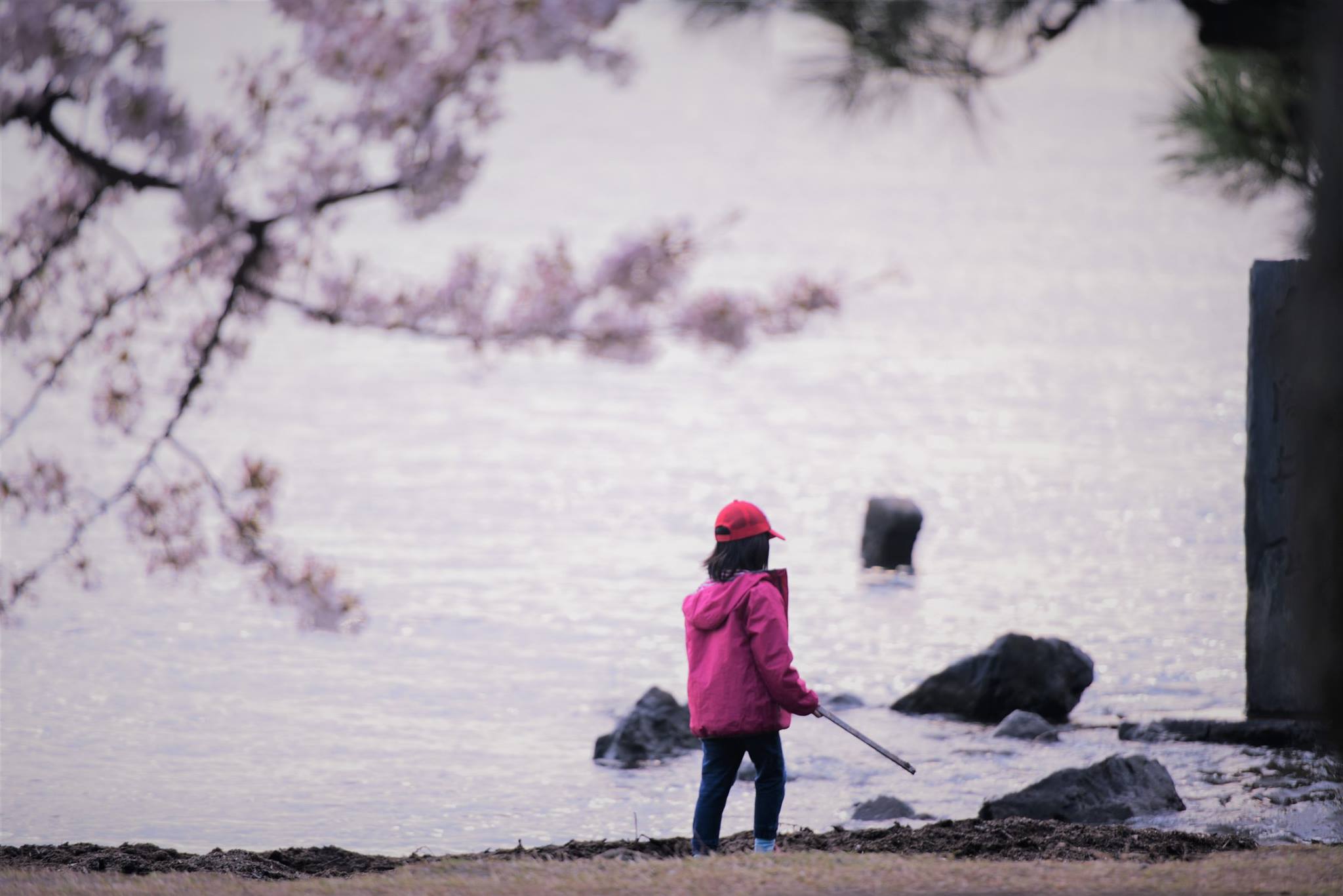 32267449_1970155679980087_7860838222484471808_o