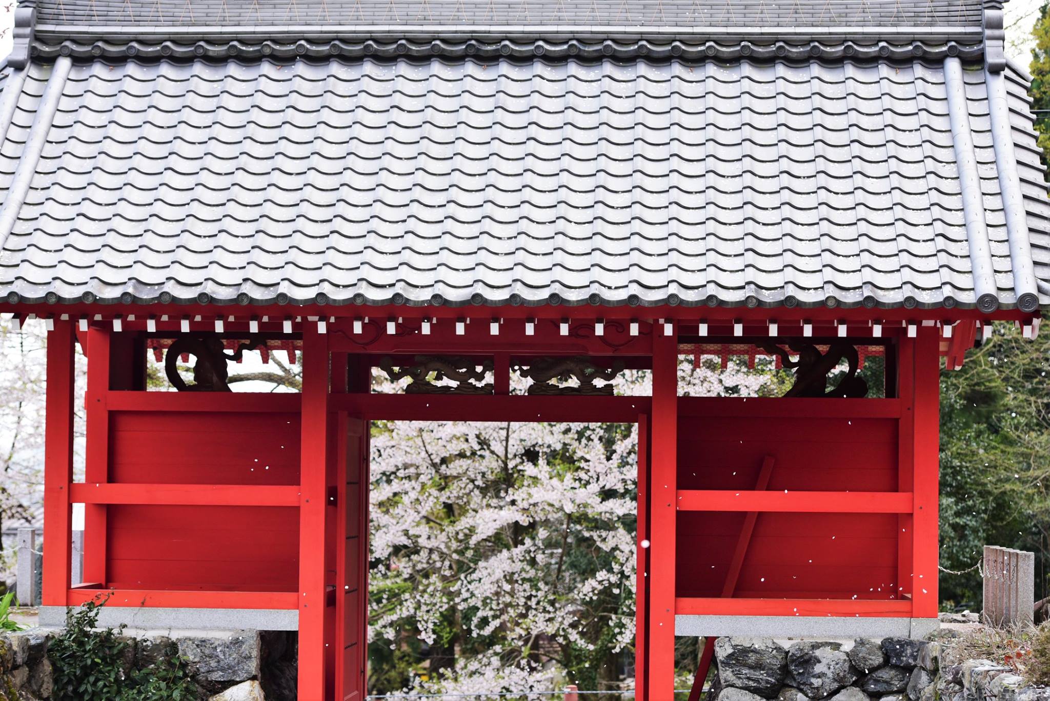 32289890_1974101366252185_5781581001859792896_o