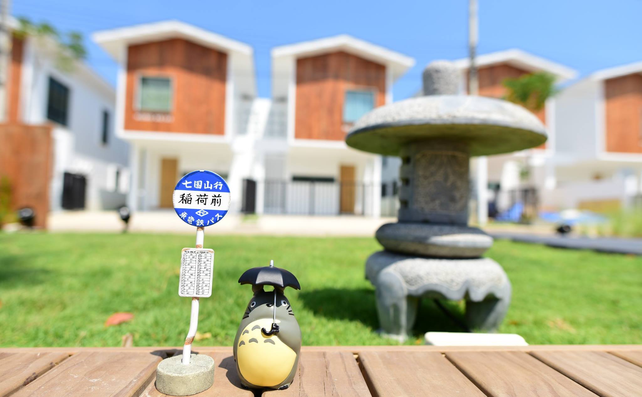 32313281_1972137873115201_6548454056874999808_o