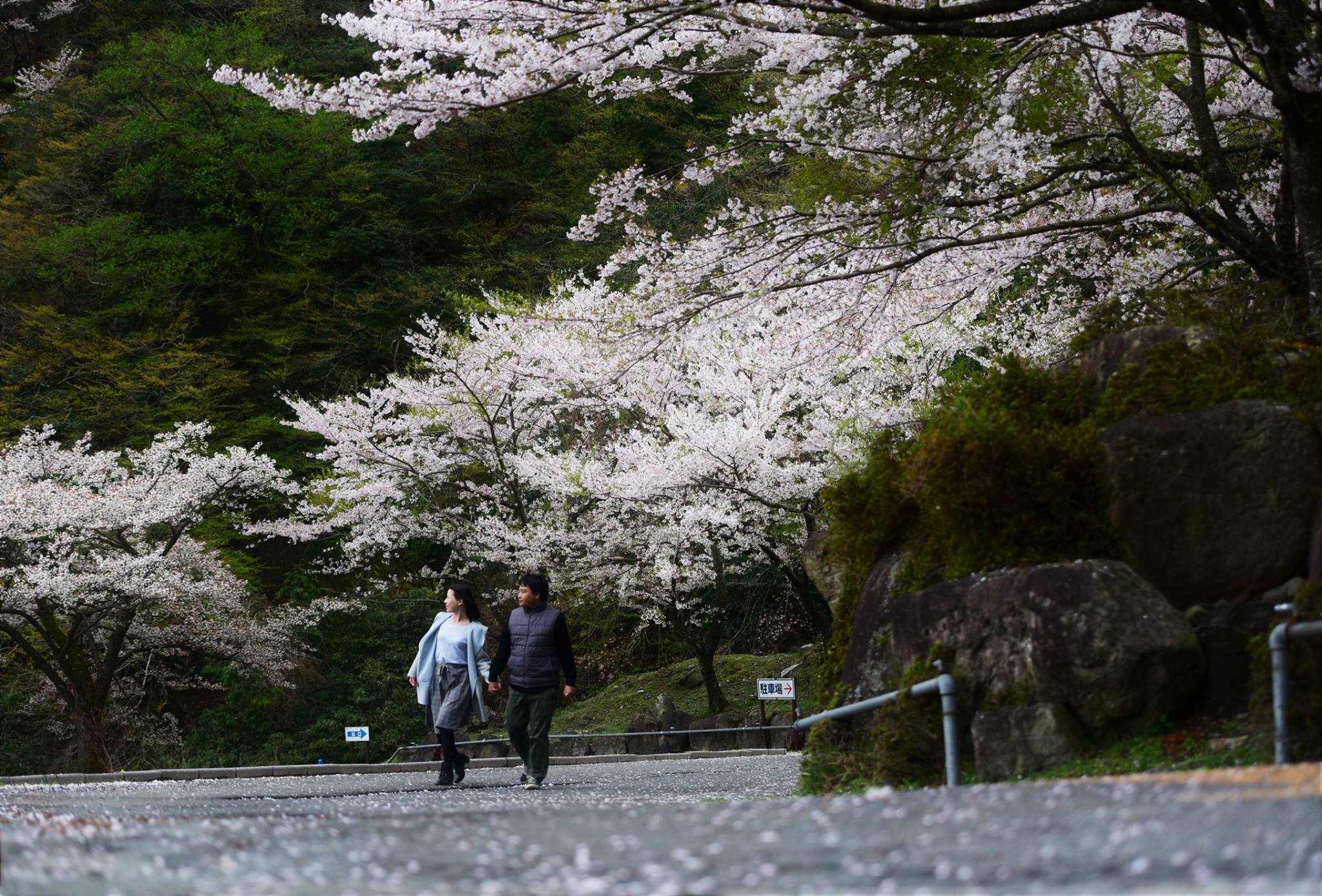 32368257_1972664659729189_2228029531933900800_o