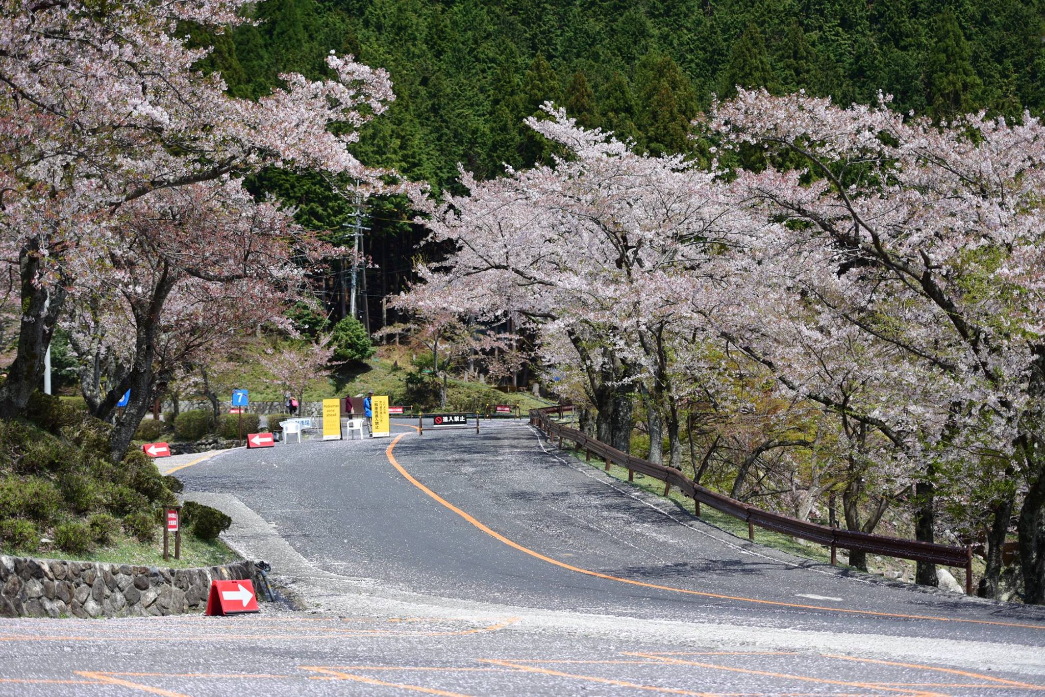 32369733_1972665649729090_7950821931979112448_o