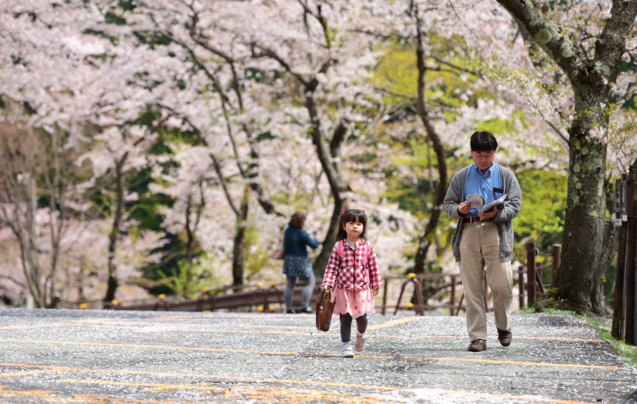 32370401_1972665139729141_4102384269572177920_o