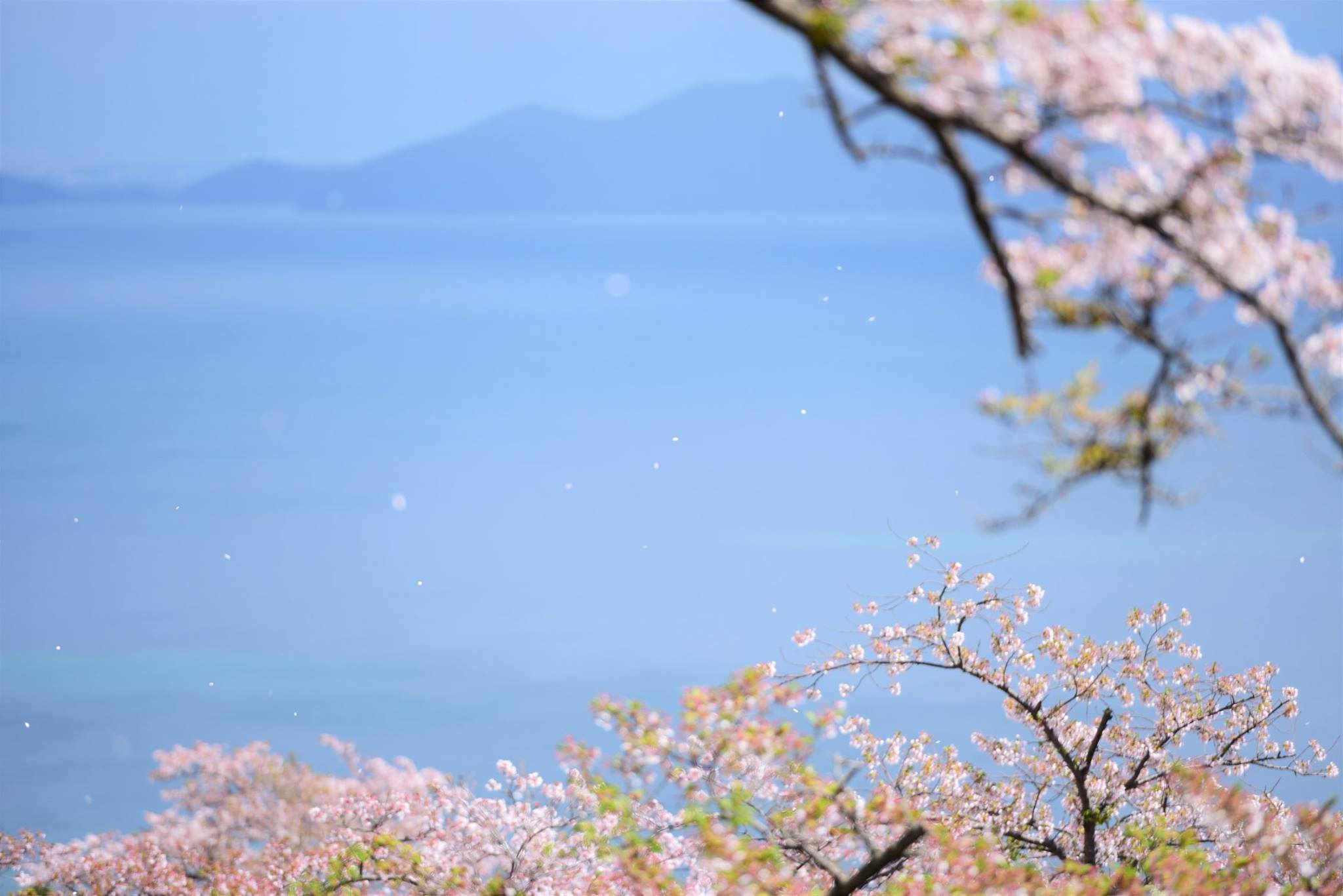 32387309_1972666266395695_5177423414213738496_o