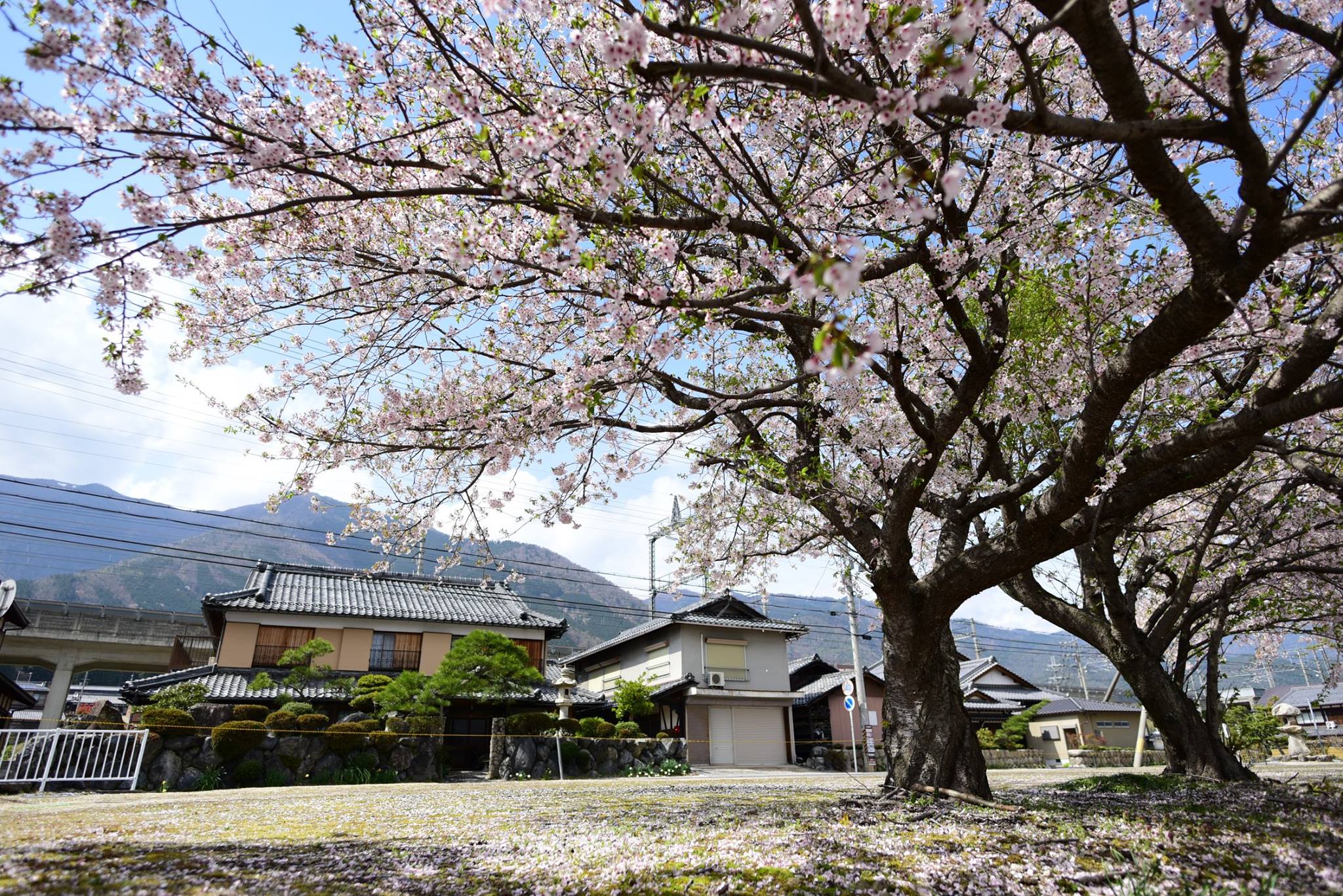 32392097_1972666663062322_575609777548165120_o