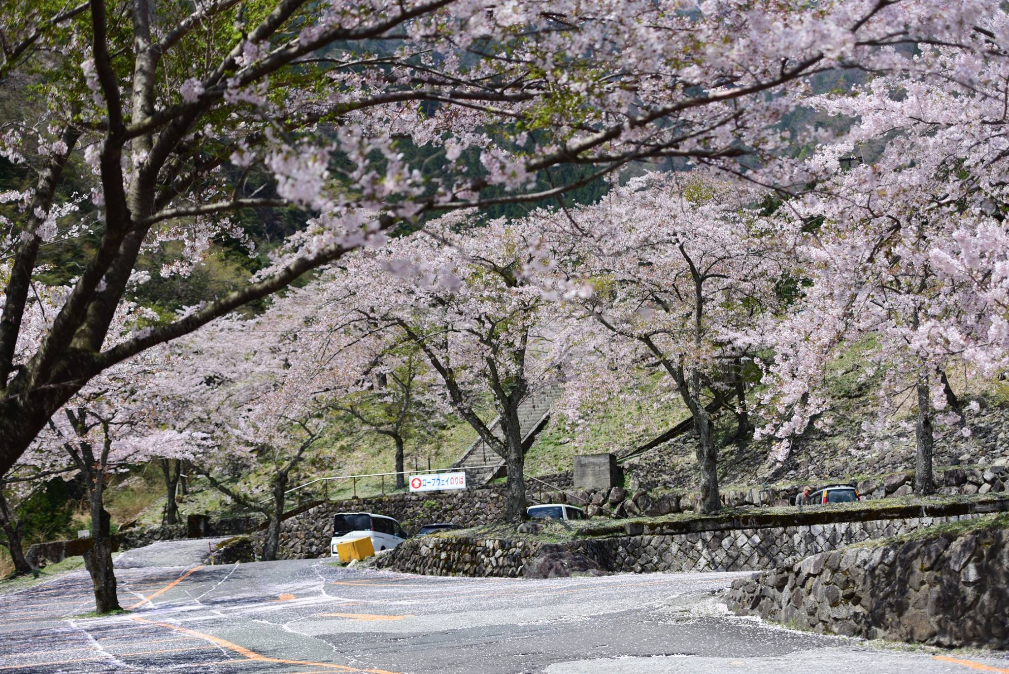 32395161_1972665613062427_1160841269681848320_o