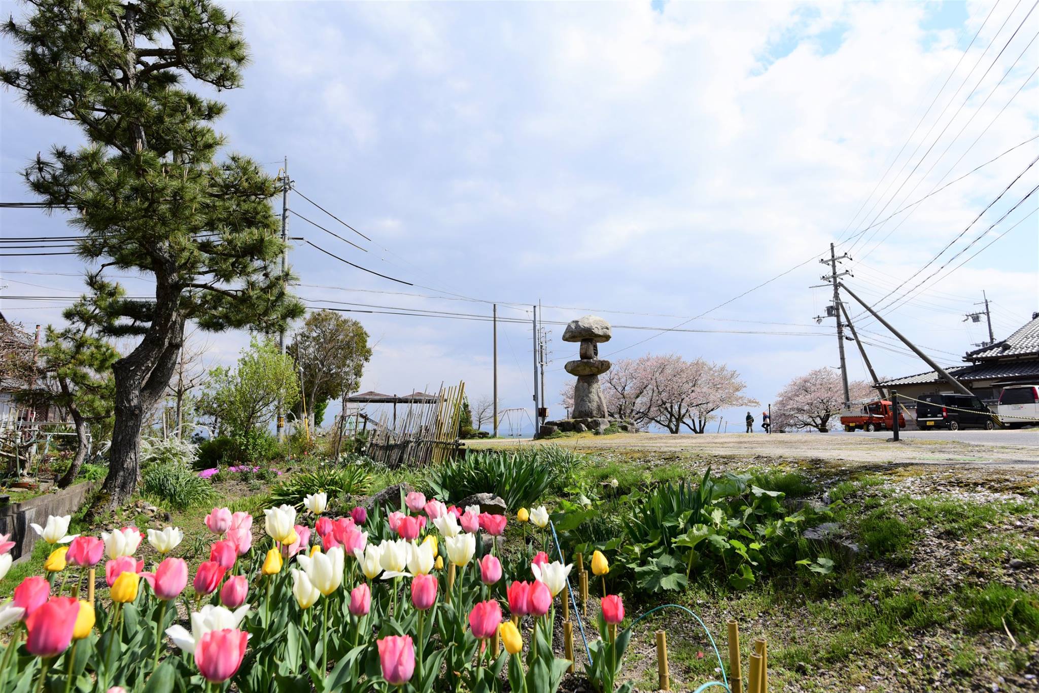 32395172_1972666696395652_6843991628391120896_o