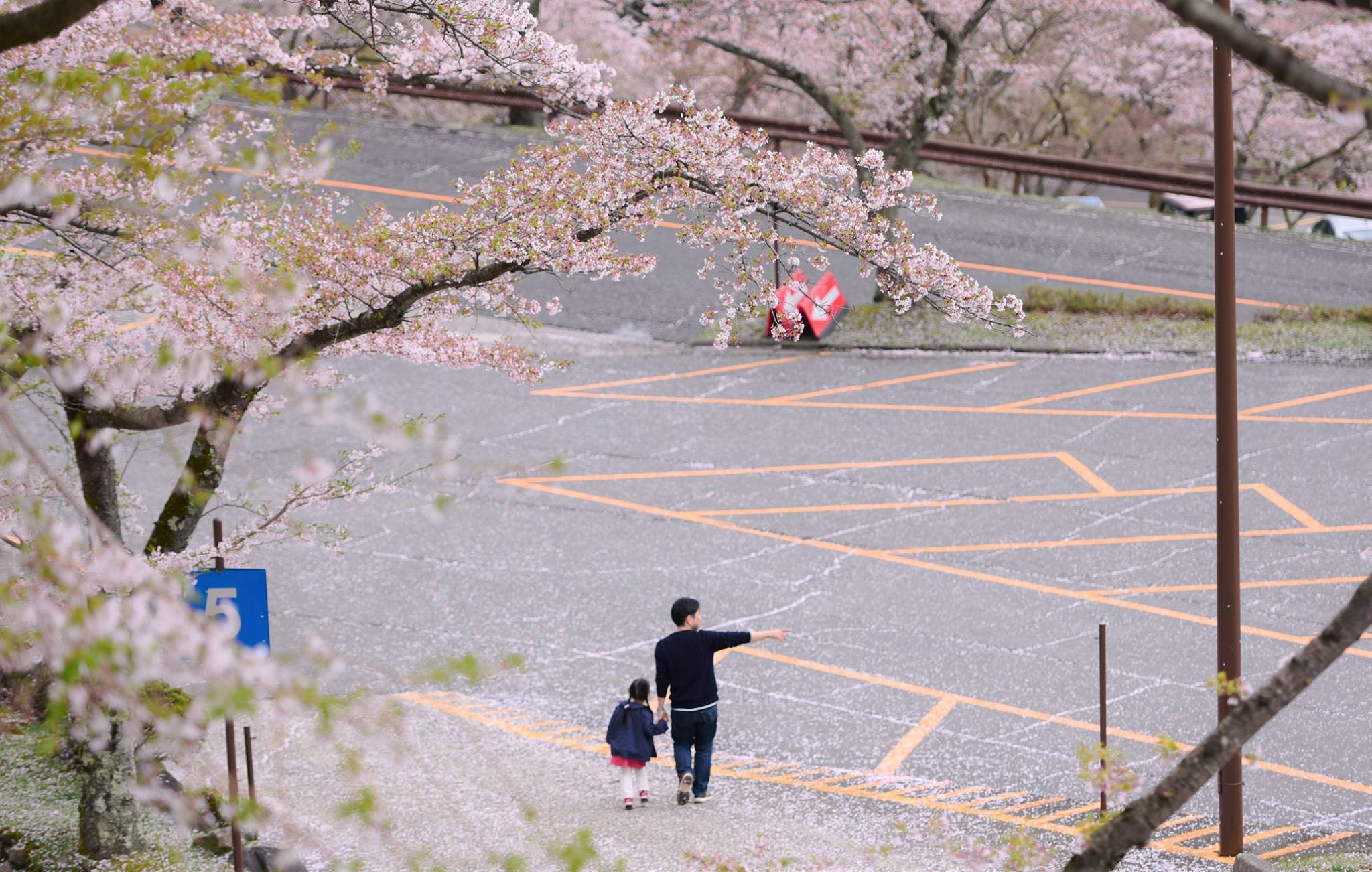 32396422_1972665206395801_5996992900452319232_o