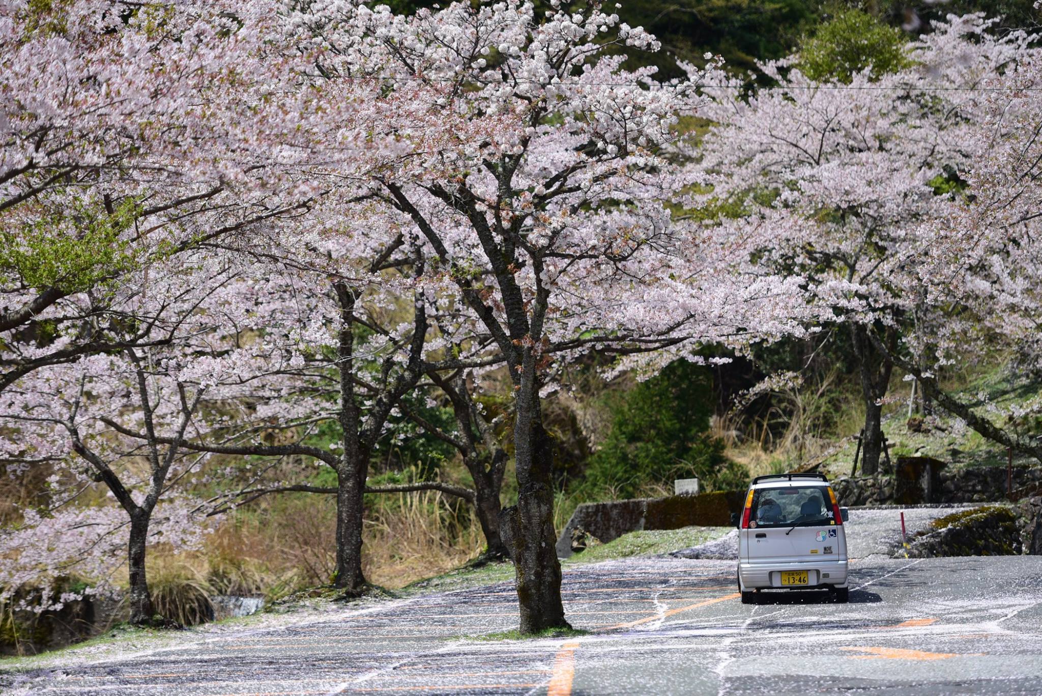 32451903_1972665573062431_7172913980699049984_o