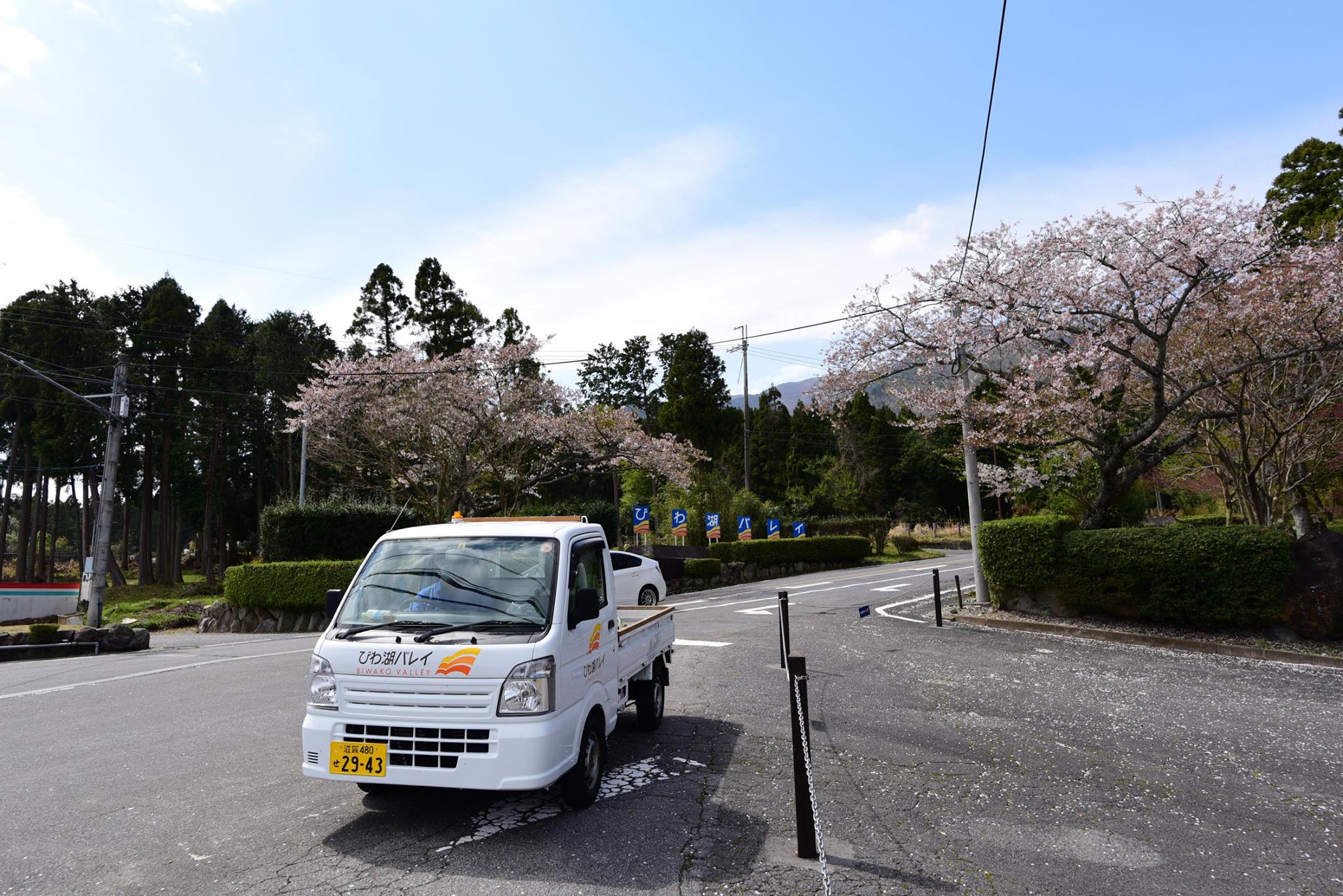 32472070_1972666576395664_2487372834226044928_o