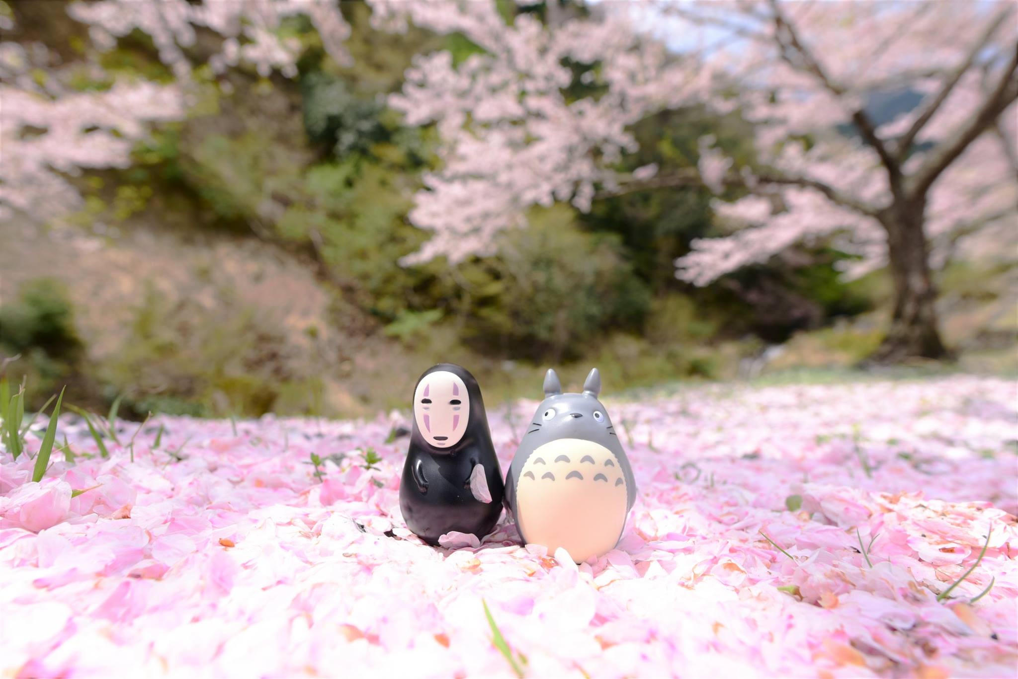 32486531_1972665029729152_4219429940933689344_o