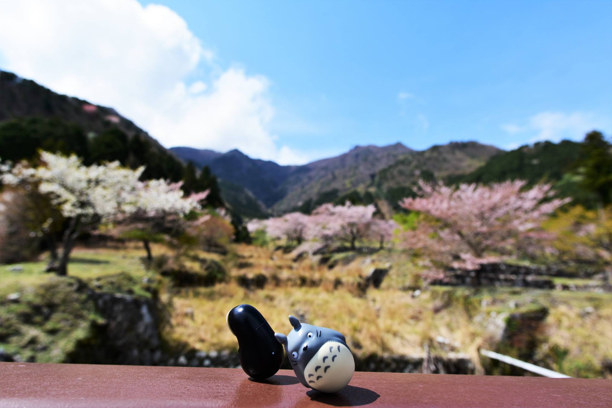 32536908_1973115953017393_7382297007928377344_o