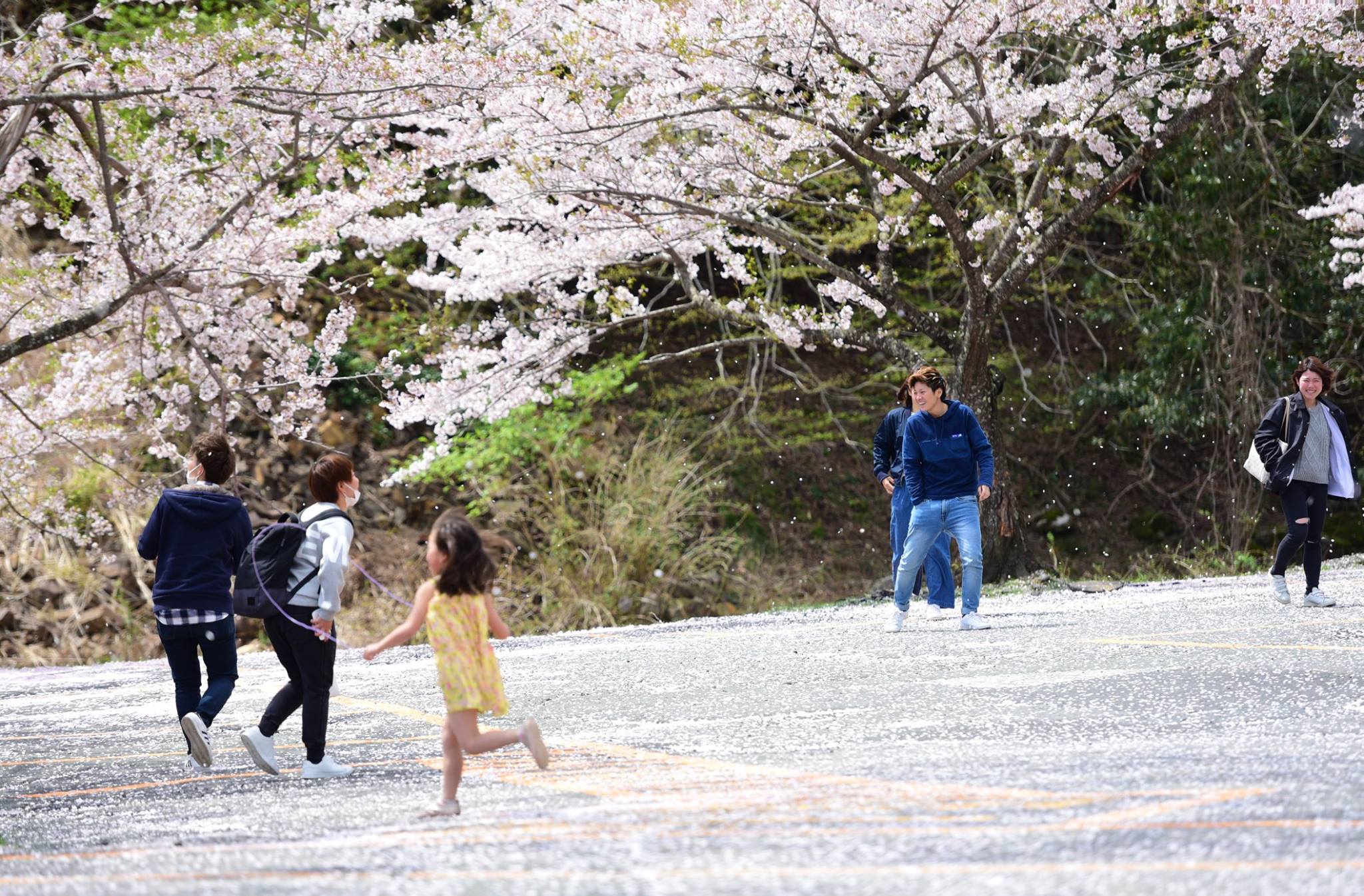 32543881_1973138416348480_4575406137620299776_o