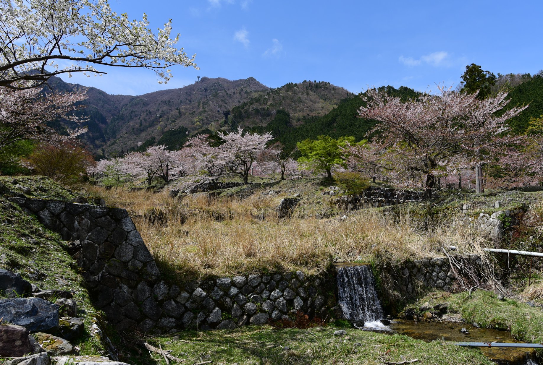 32621021_1972666429729012_973022732079857664_o