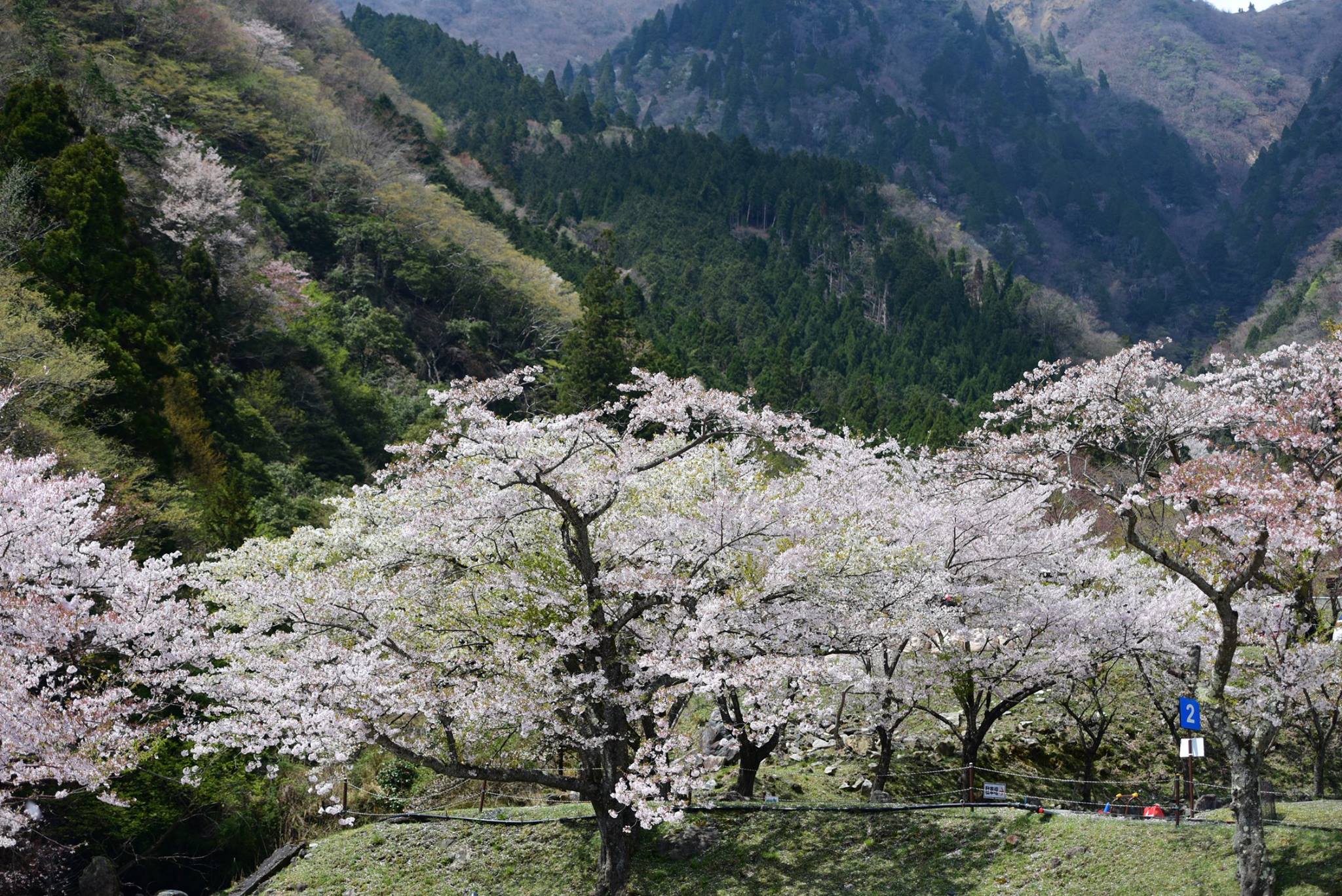 32630994_1972666023062386_3035392085462089728_o