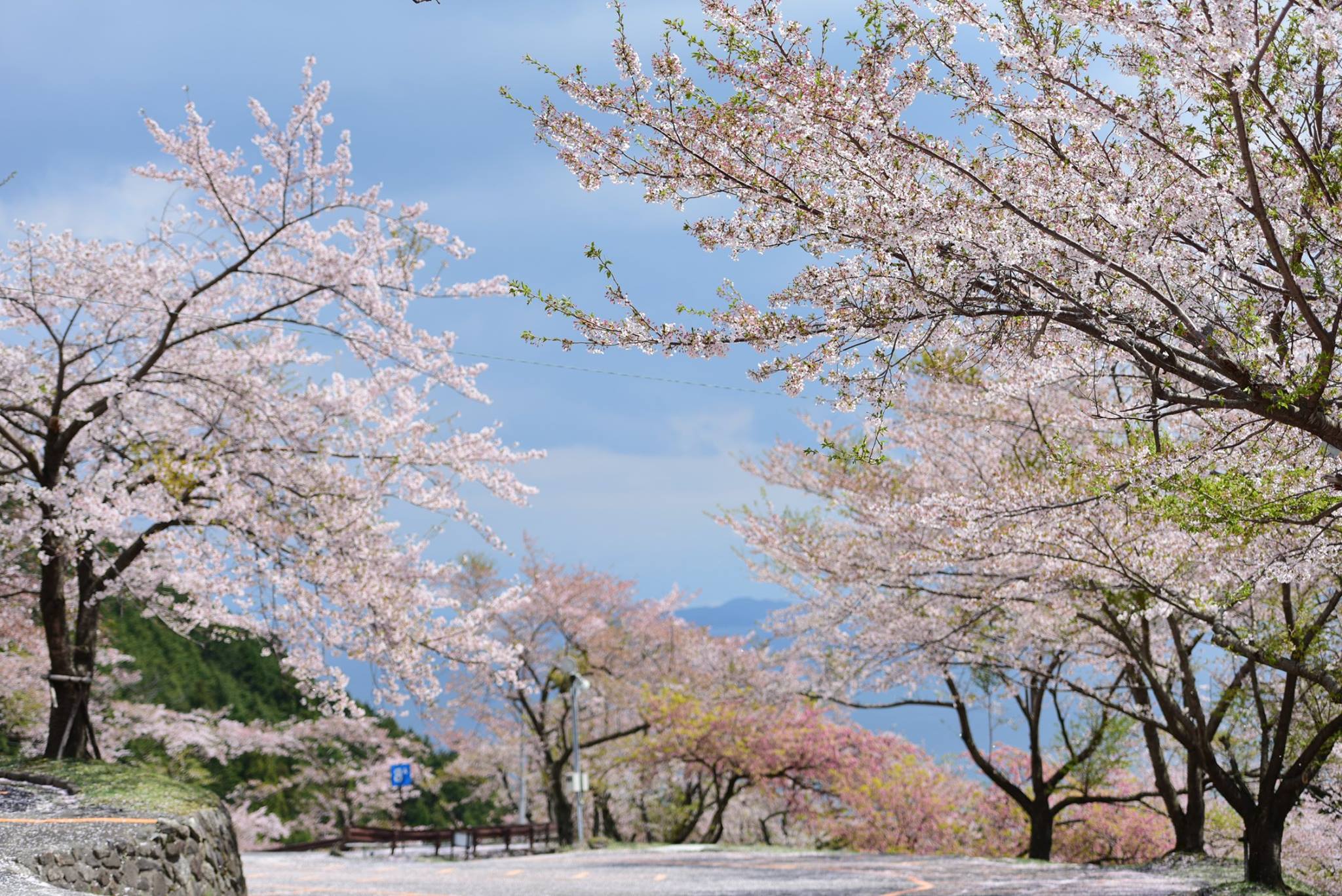 32635763_1972665846395737_7764189711588917248_o