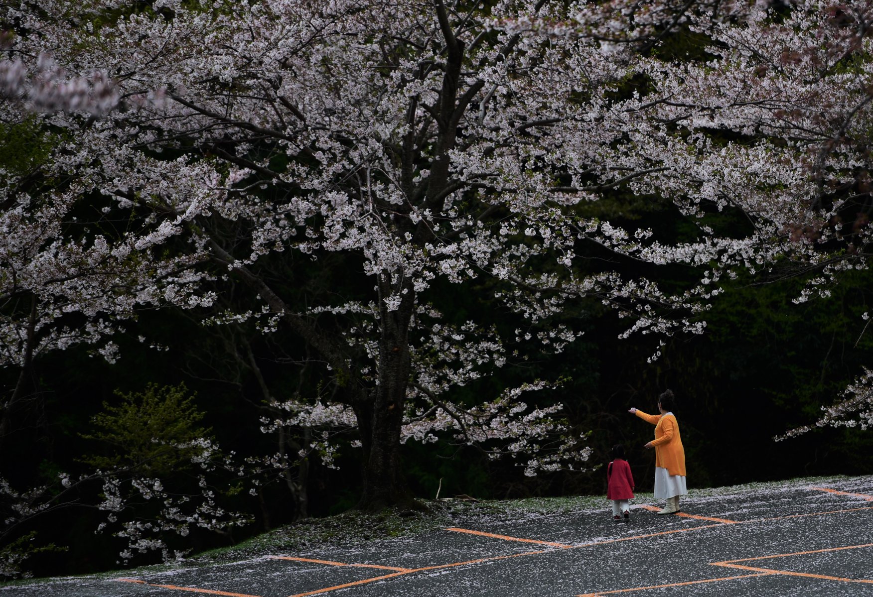 32637165_1972665339729121_4000223640598609920_o