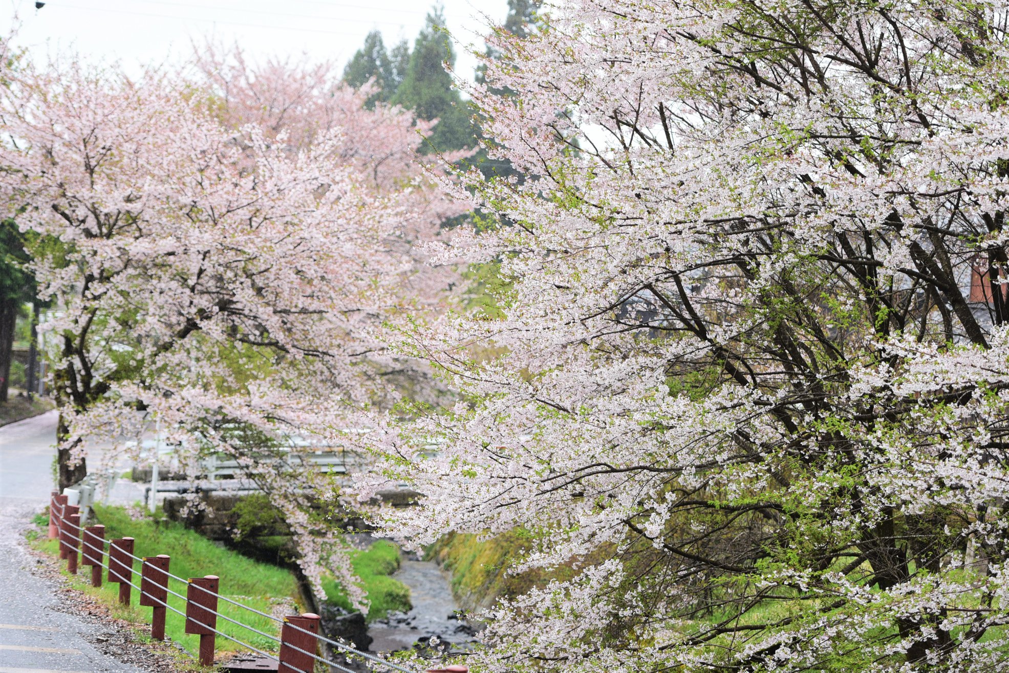 32649950_1974102586252063_3412811078172672000_o