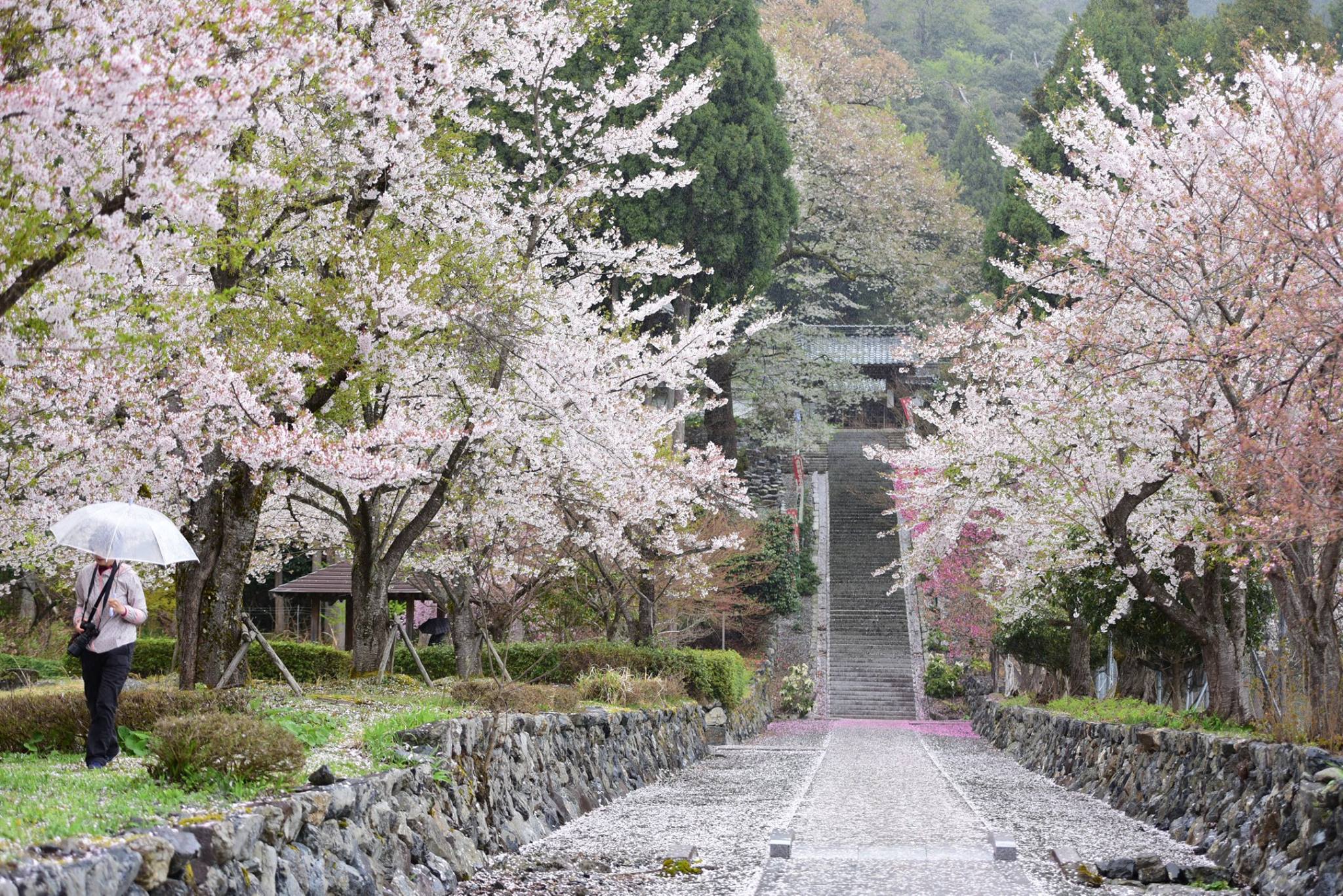 32650668_1974102562918732_6878942083676110848_o