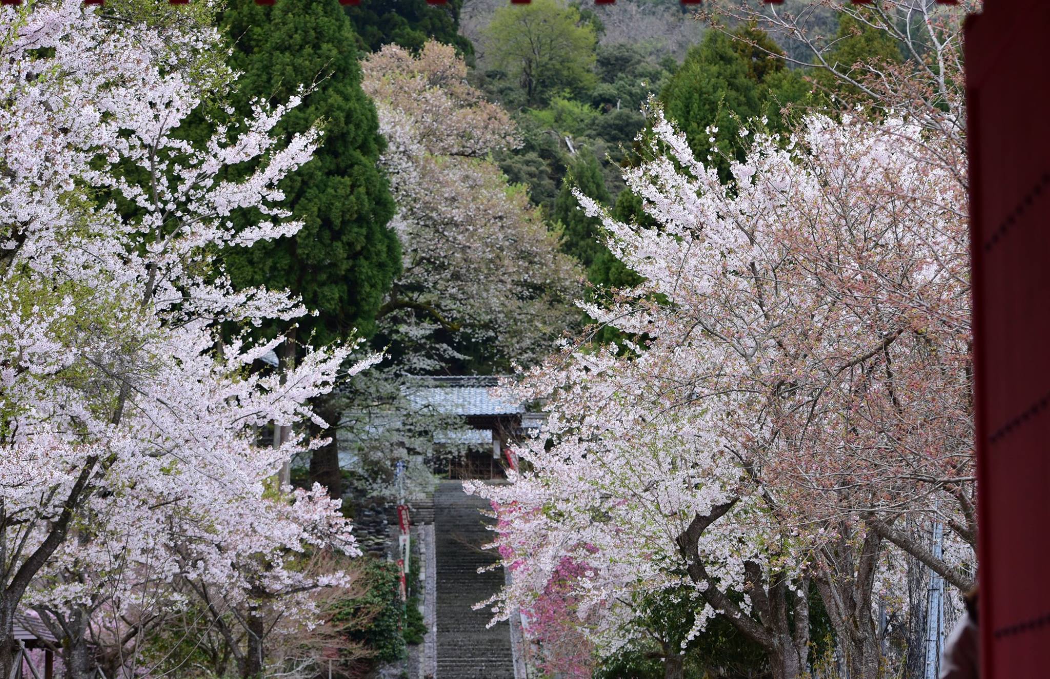 32712357_1974101272918861_3245454679596859392_o (1)