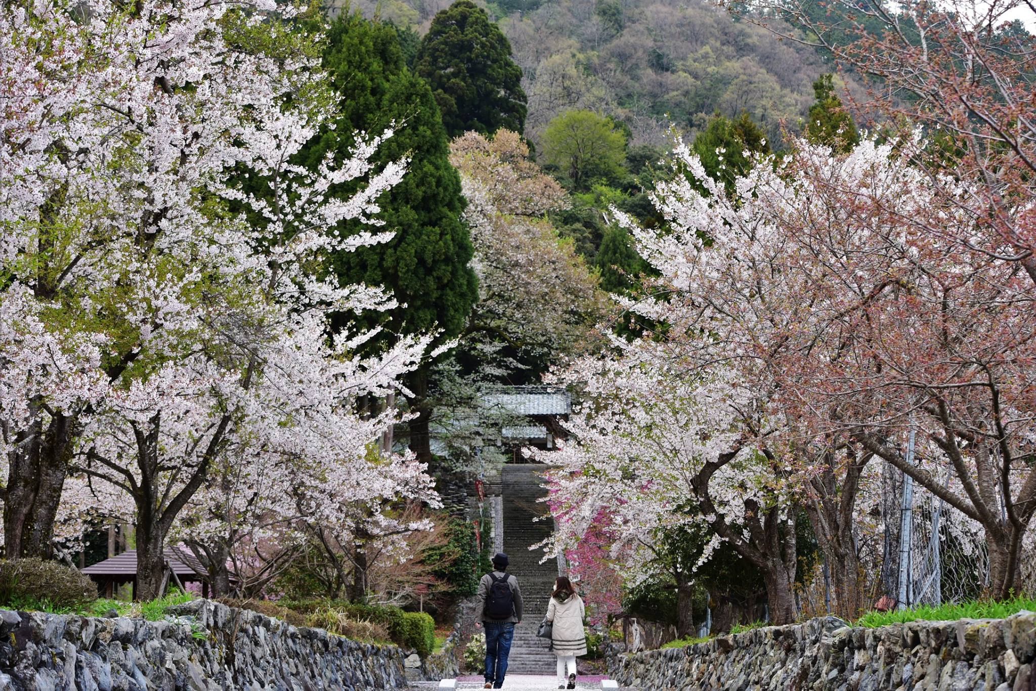 32722978_1974101346252187_1269772682669326336_o