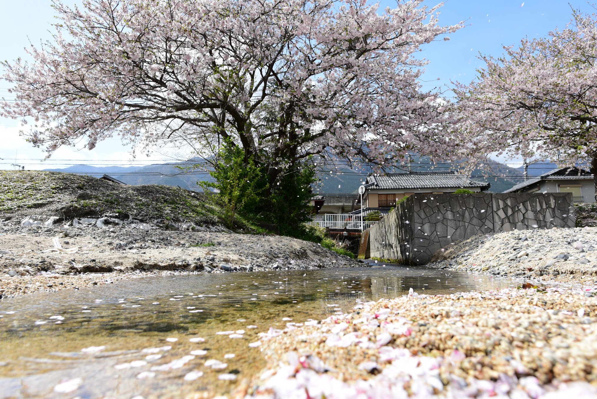 32737794_1973138199681835_913035804324921344_o