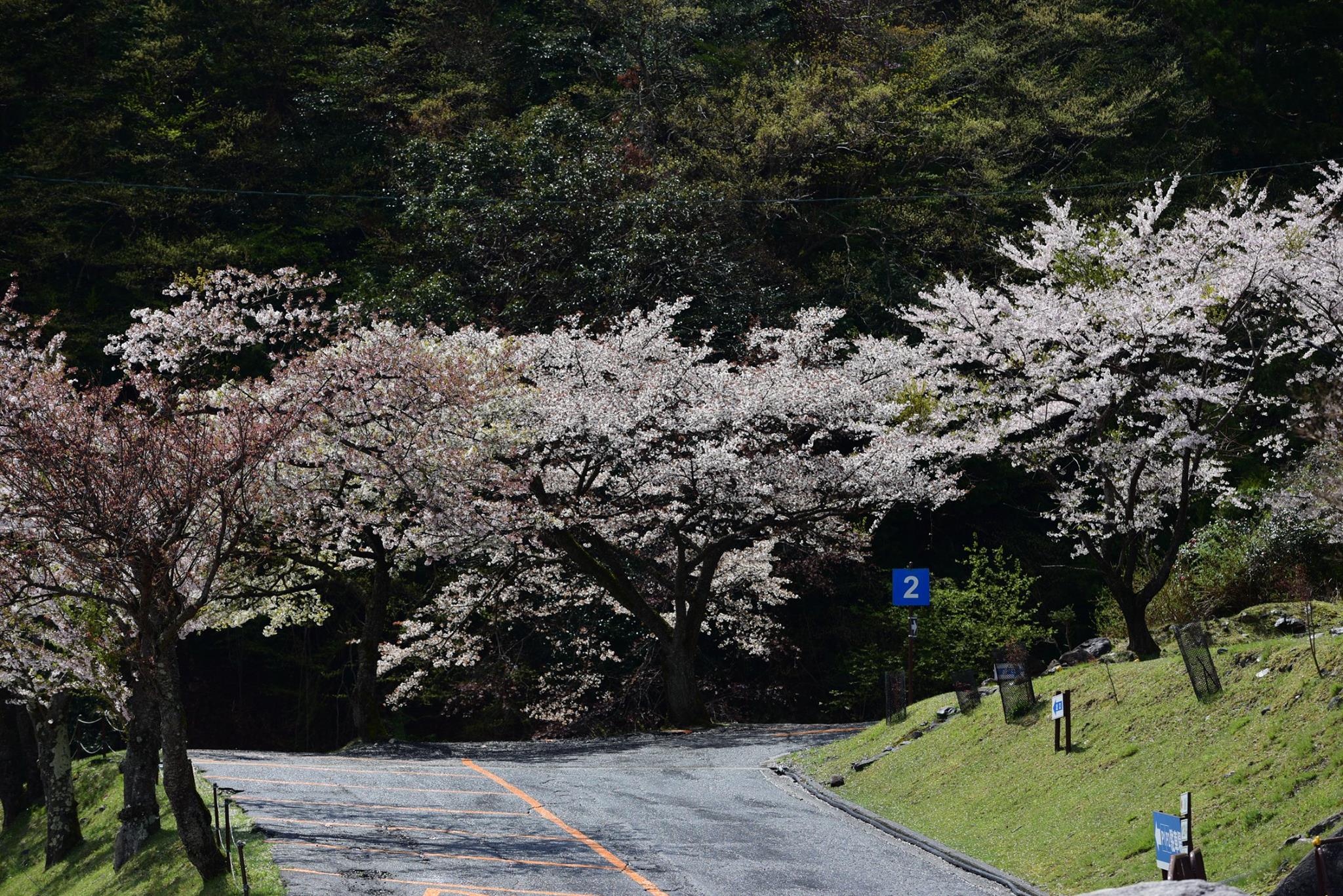 32781384_1572323616198996_4813611968818577408_o