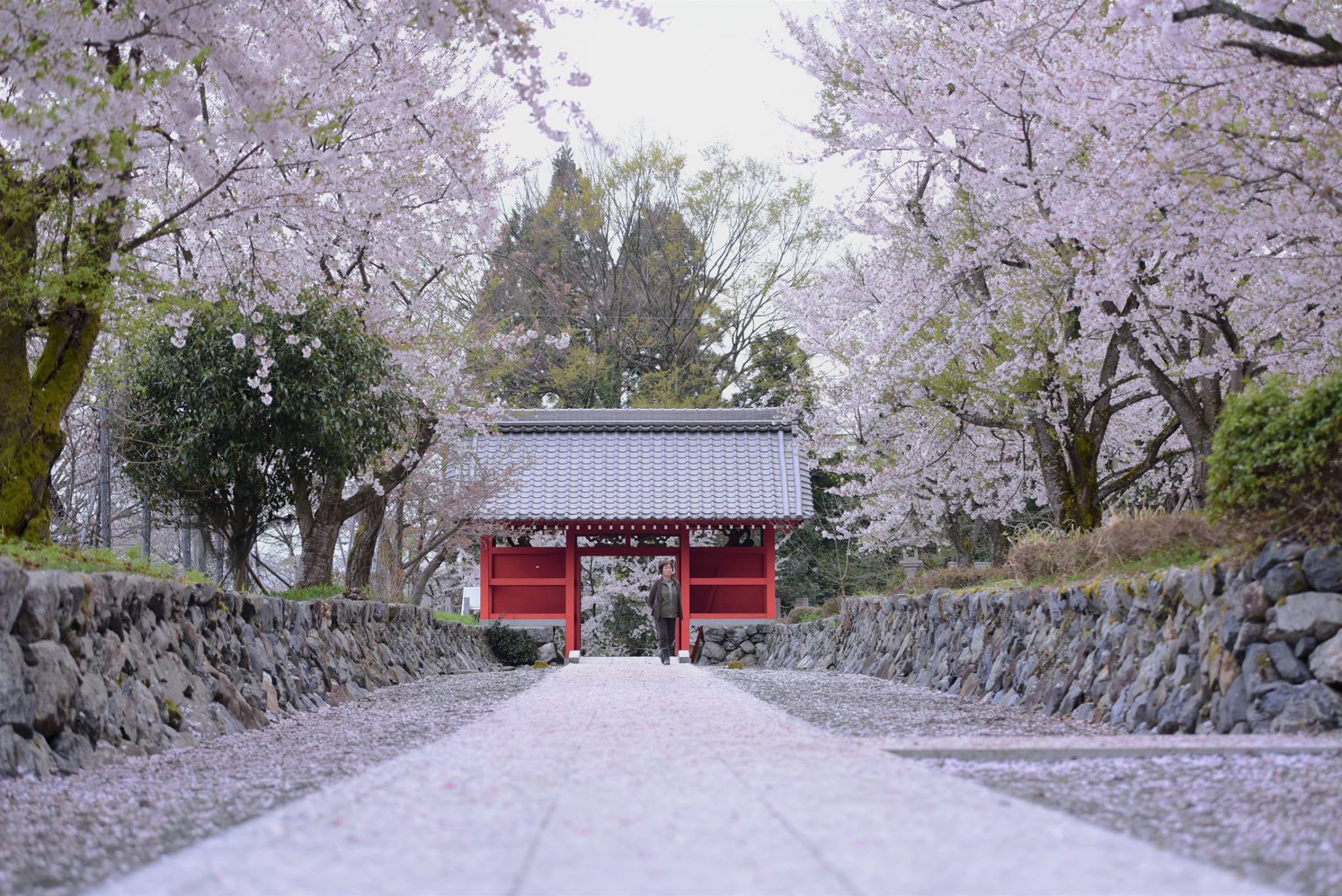 32810456_1974101479585507_6212184209524523008_o