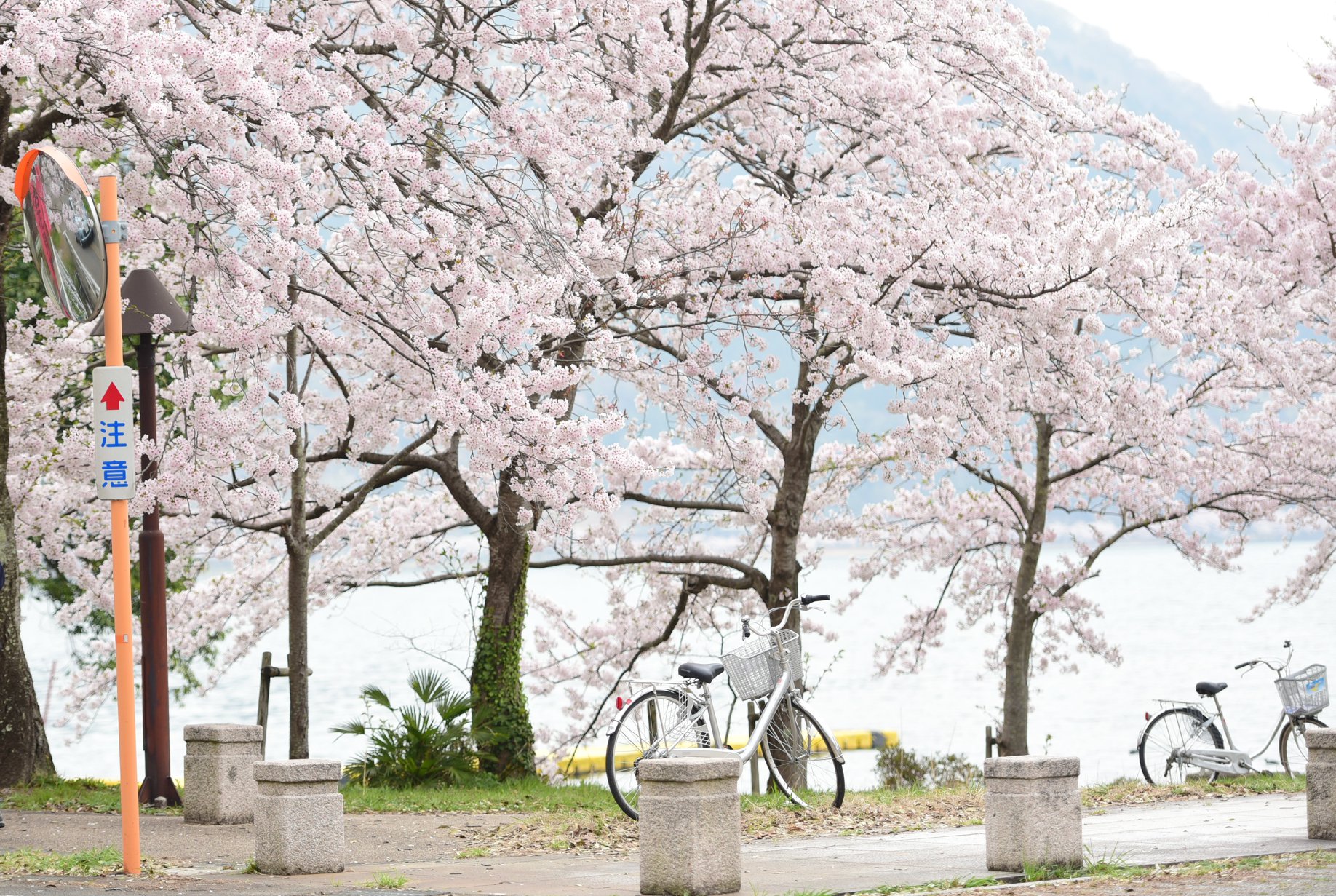 32878799_1975607112768277_4630155460131946496_o