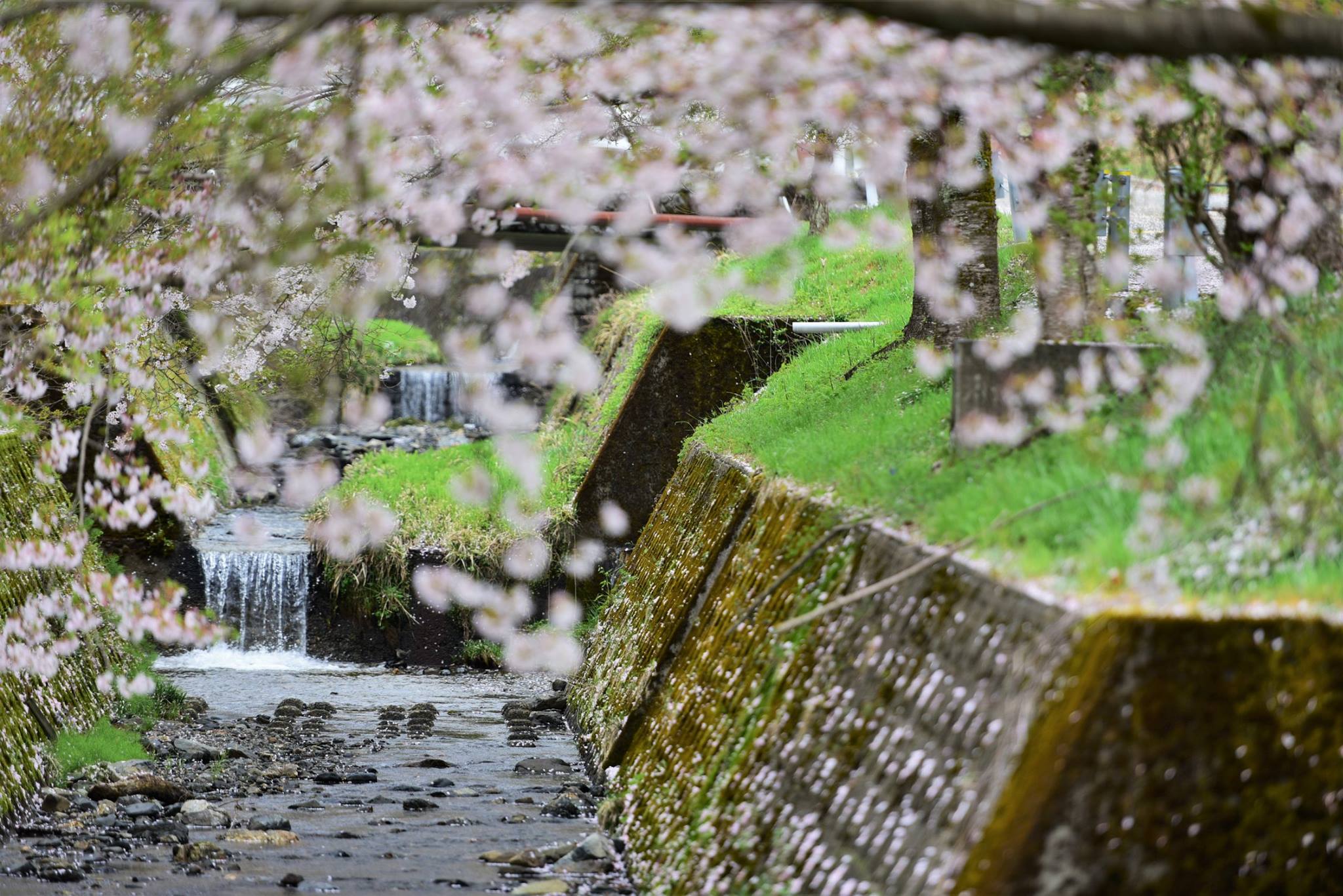 32897531_1974101886252133_2265485761333690368_o