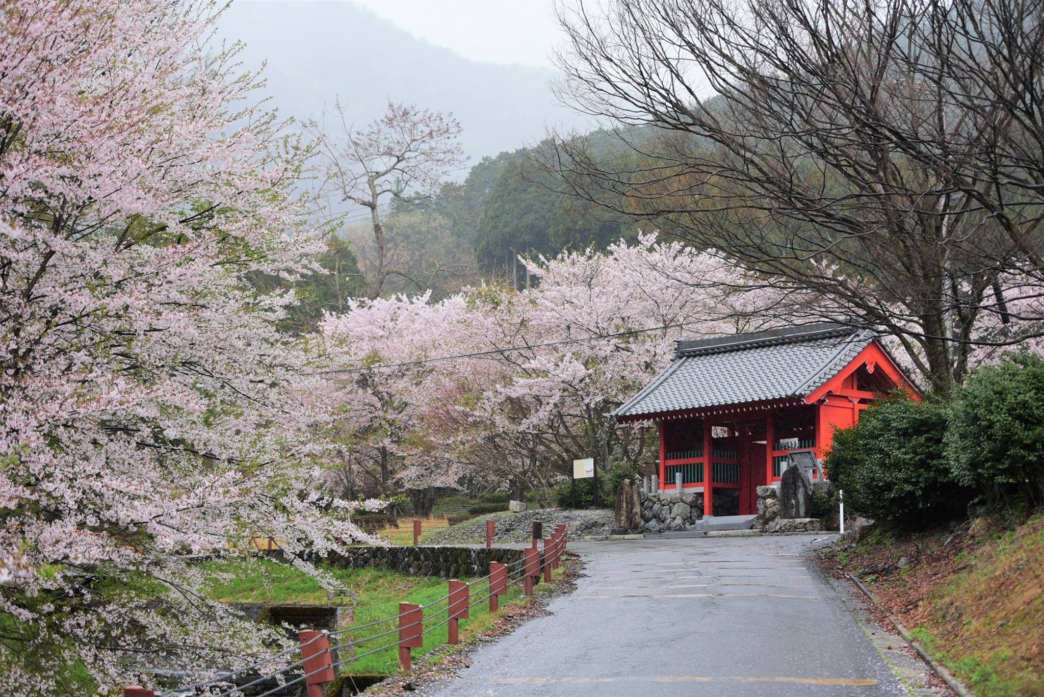 32897531_1974102722918716_1136327778199666688_o