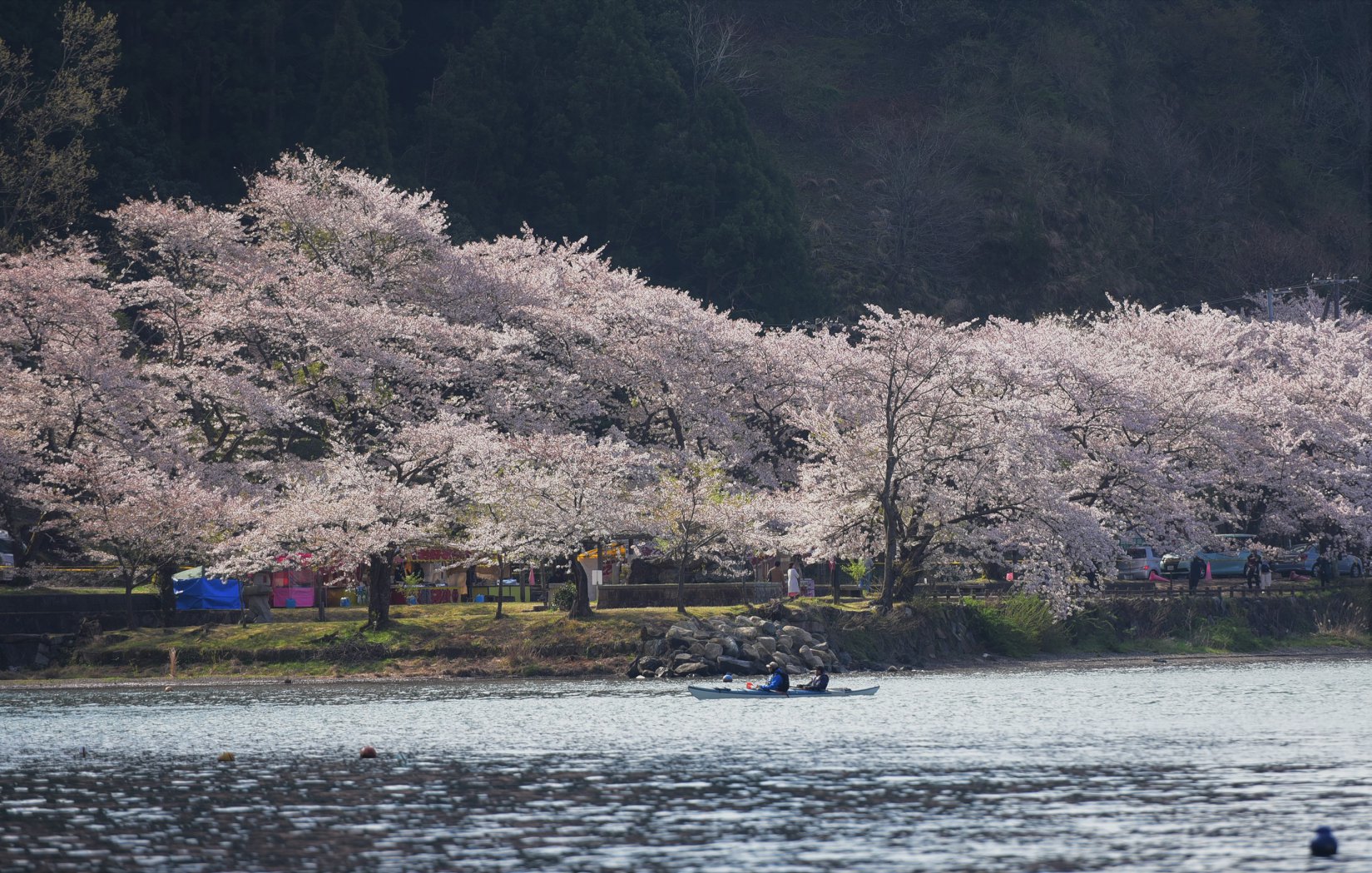 32917715_1975600699435585_397580565630418944_o