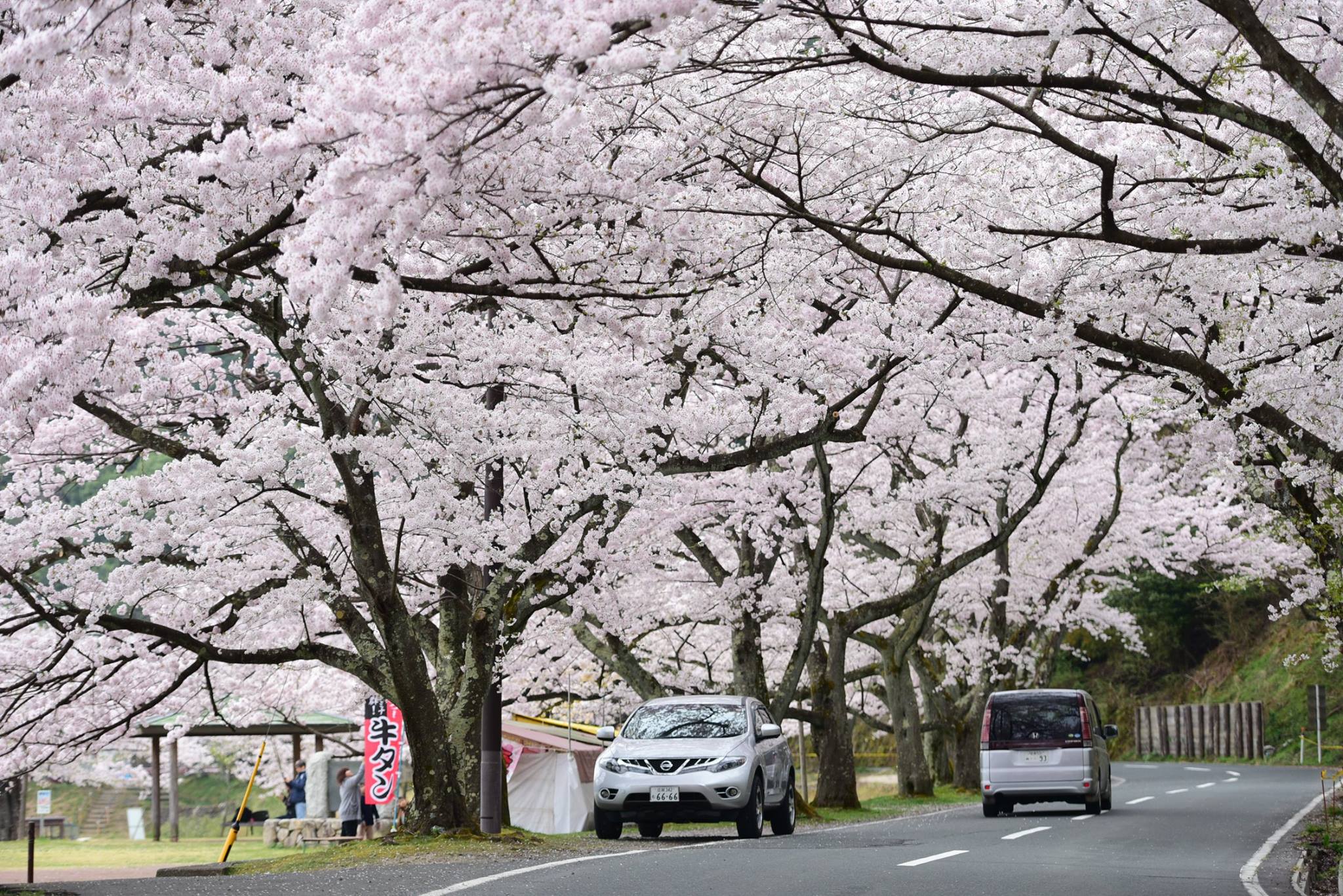 32921717_1975606376101684_1741018336927416320_o (1)