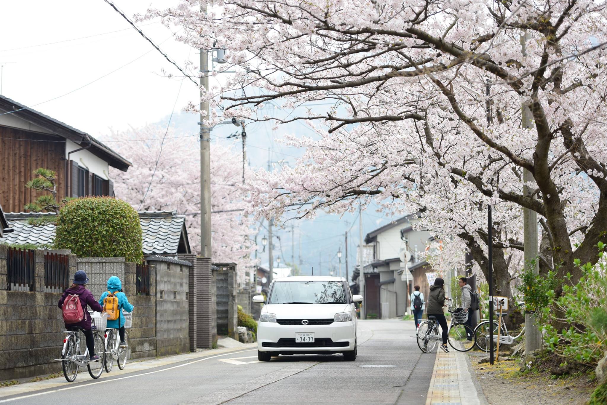 32926285_1975607006101621_4907007694822440960_o