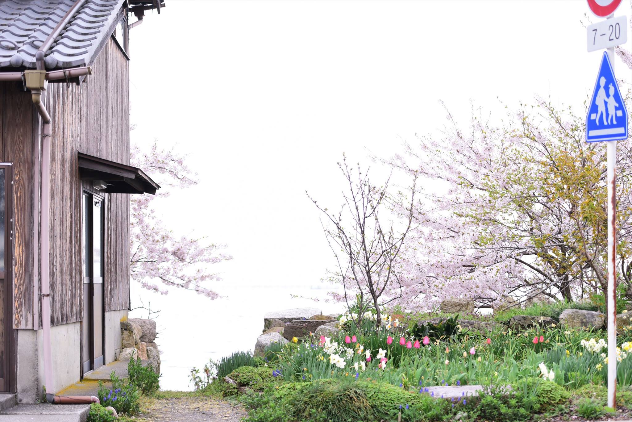 32929389_1975605946101727_2569982888032337920_o