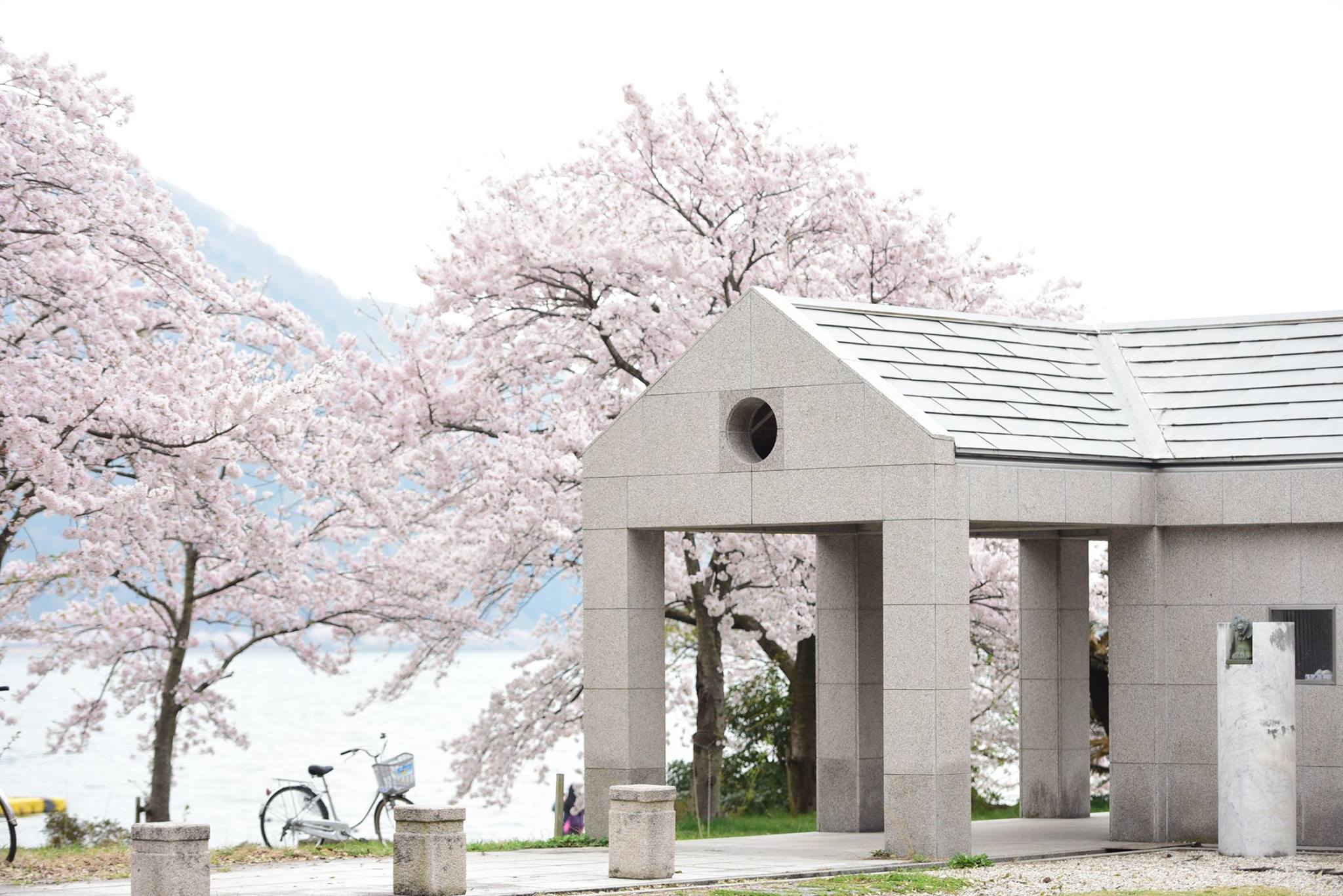 32939081_1975607162768272_1194136307132006400_o