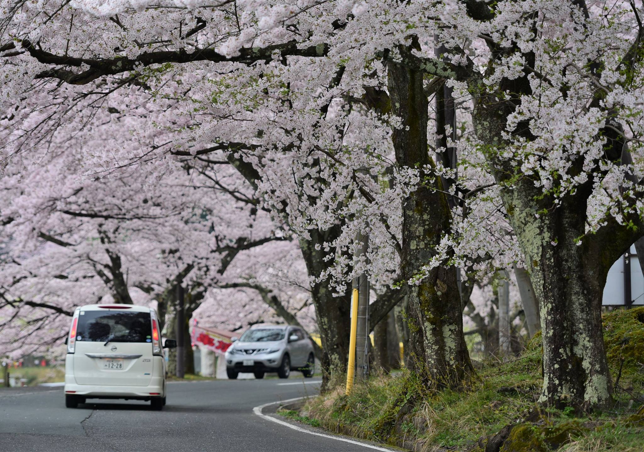 32941792_1975606302768358_3592026134855811072_o