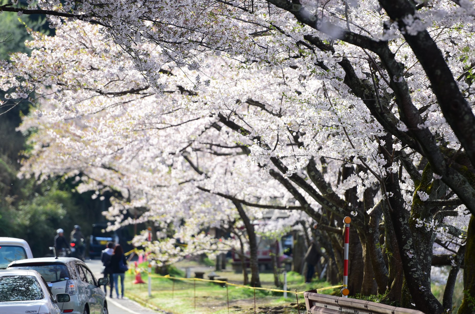 32949010_1975600799435575_3458751680458260480_o