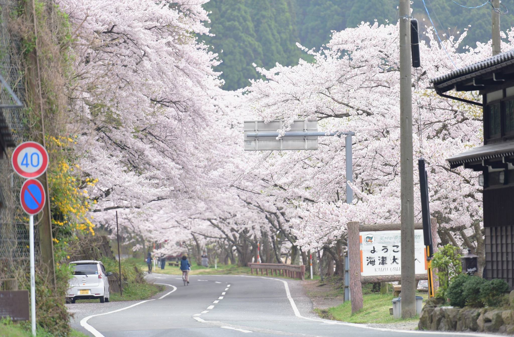 32953085_1975606042768384_6647018161839276032_o