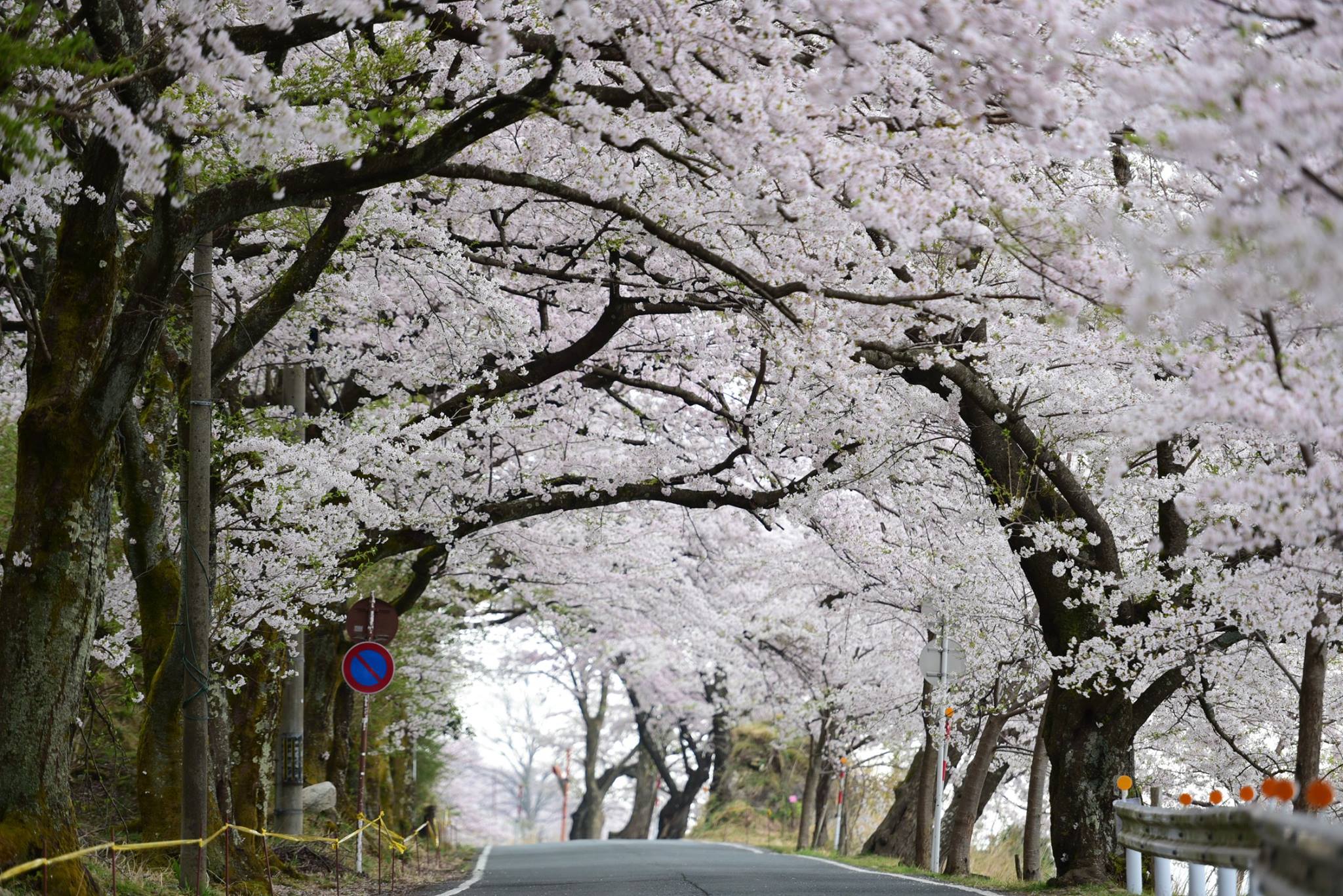 32954278_1975606326101689_8105777948222554112_o