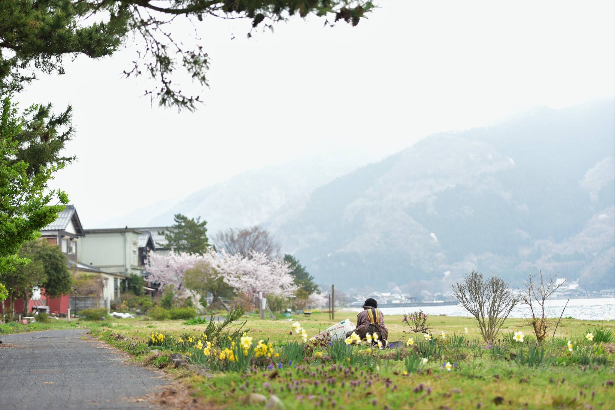 32970392_1975605842768404_7865692828314107904_o