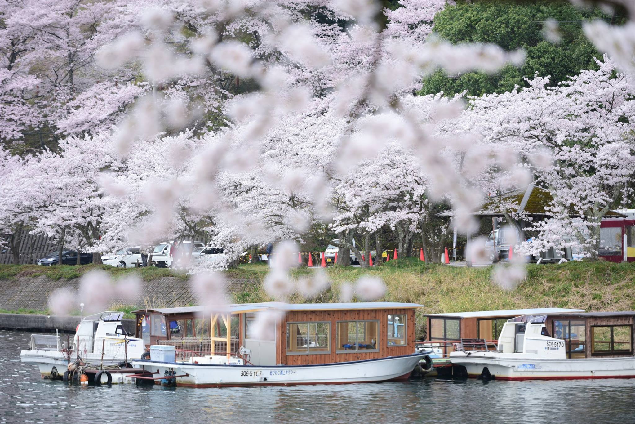 33020264_1975606412768347_7182021437375381504_o