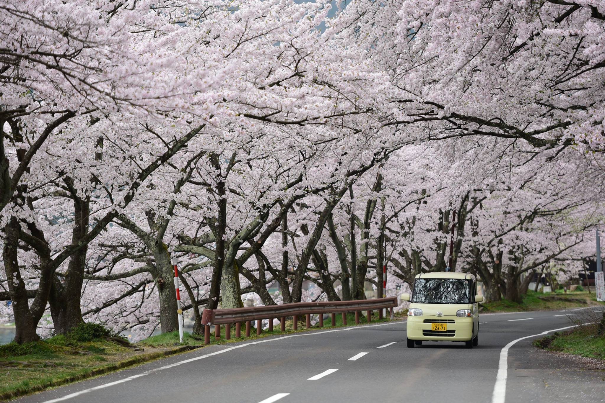 33020357_1975606766101645_53765650446811136_o