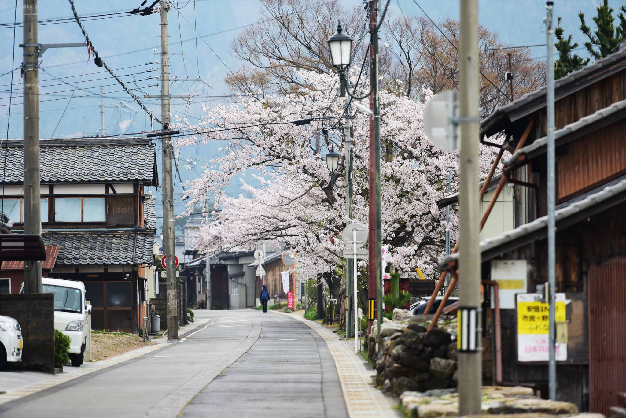 33021970_1975605802768408_1864201190137397248_o